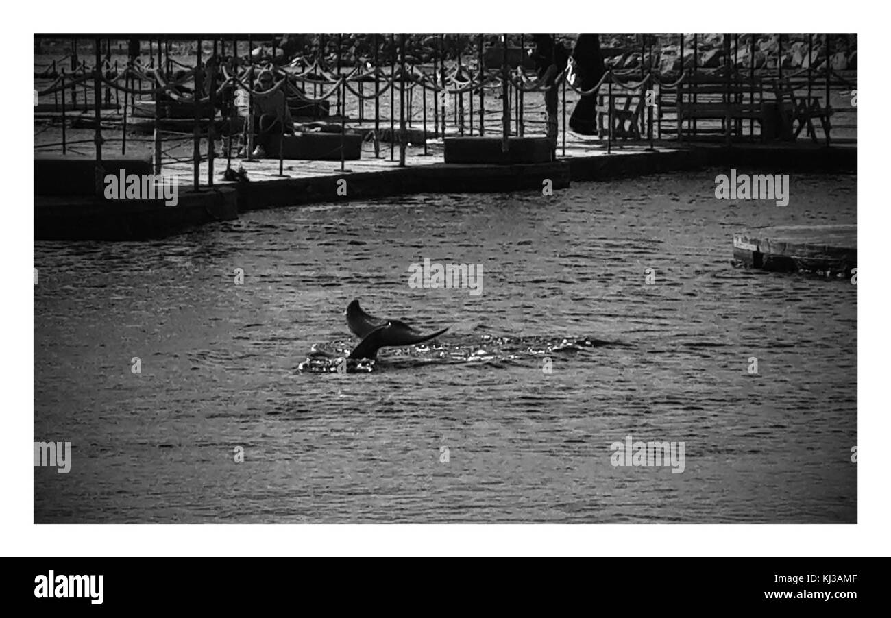 Israel 43716 bunten Bürgersteig Stockfoto