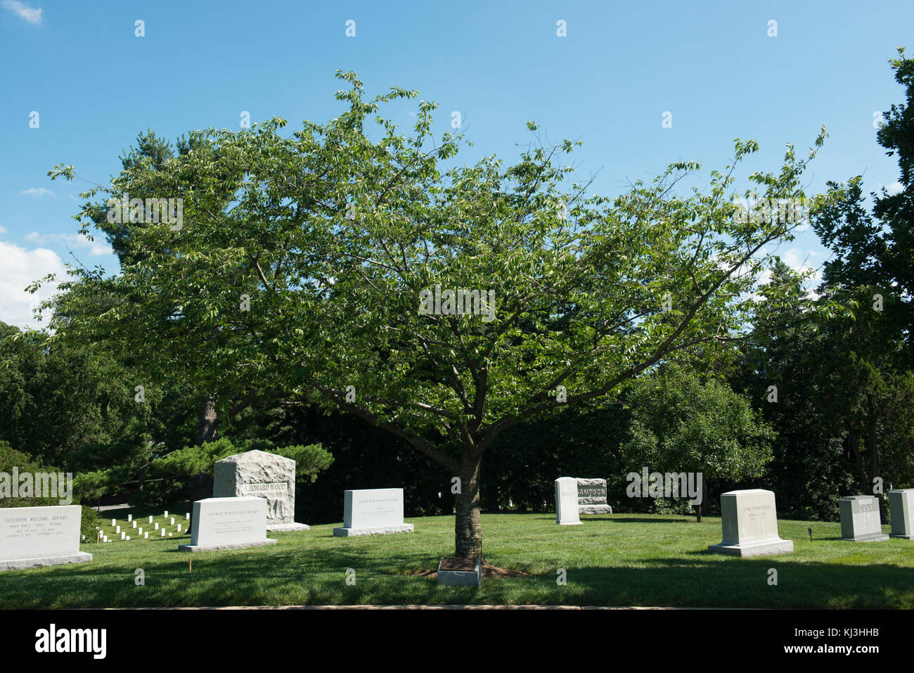 Task Force Smith Memorial in Arlington National Cemetery. (27706852260) Stockfoto