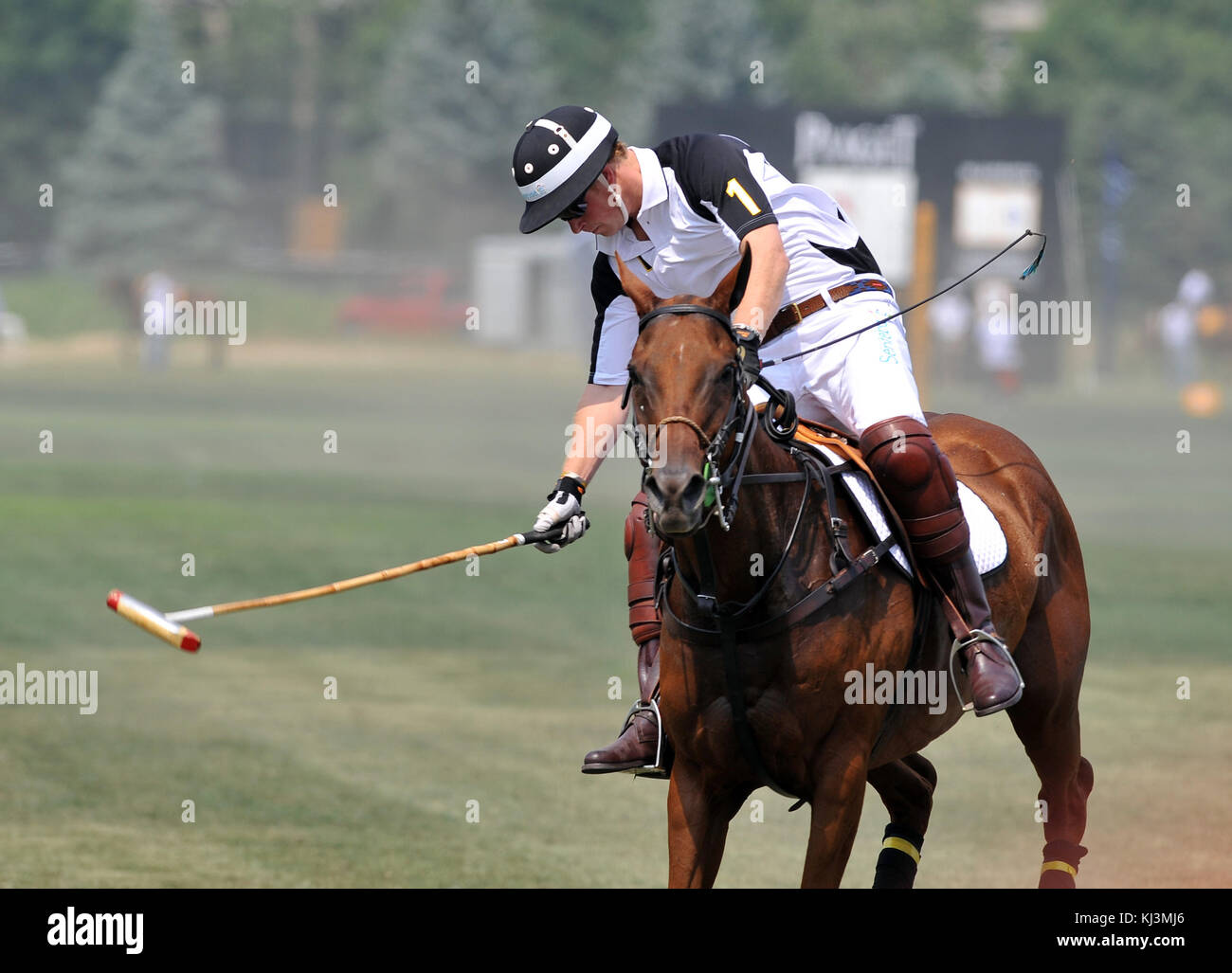 NEW YORK – 27. JUNI: H.R.H Prince Harry tritt am 27. Juni 2010 für das Blackrock-Team beim Veuve Clicquot Manhatten Polo Classic 2010 auf Governors Island an. Leute: Prinz Harry Stockfoto