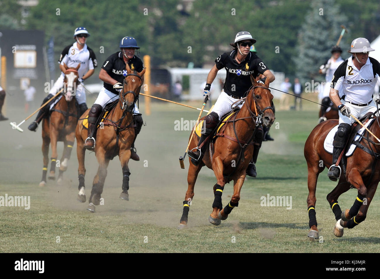 NEW YORK – 27. JUNI: H.R.H Prince Harry tritt am 27. Juni 2010 für das Blackrock-Team beim Veuve Clicquot Manhatten Polo Classic 2010 auf Governors Island an. Leute: Prinz Harry Stockfoto