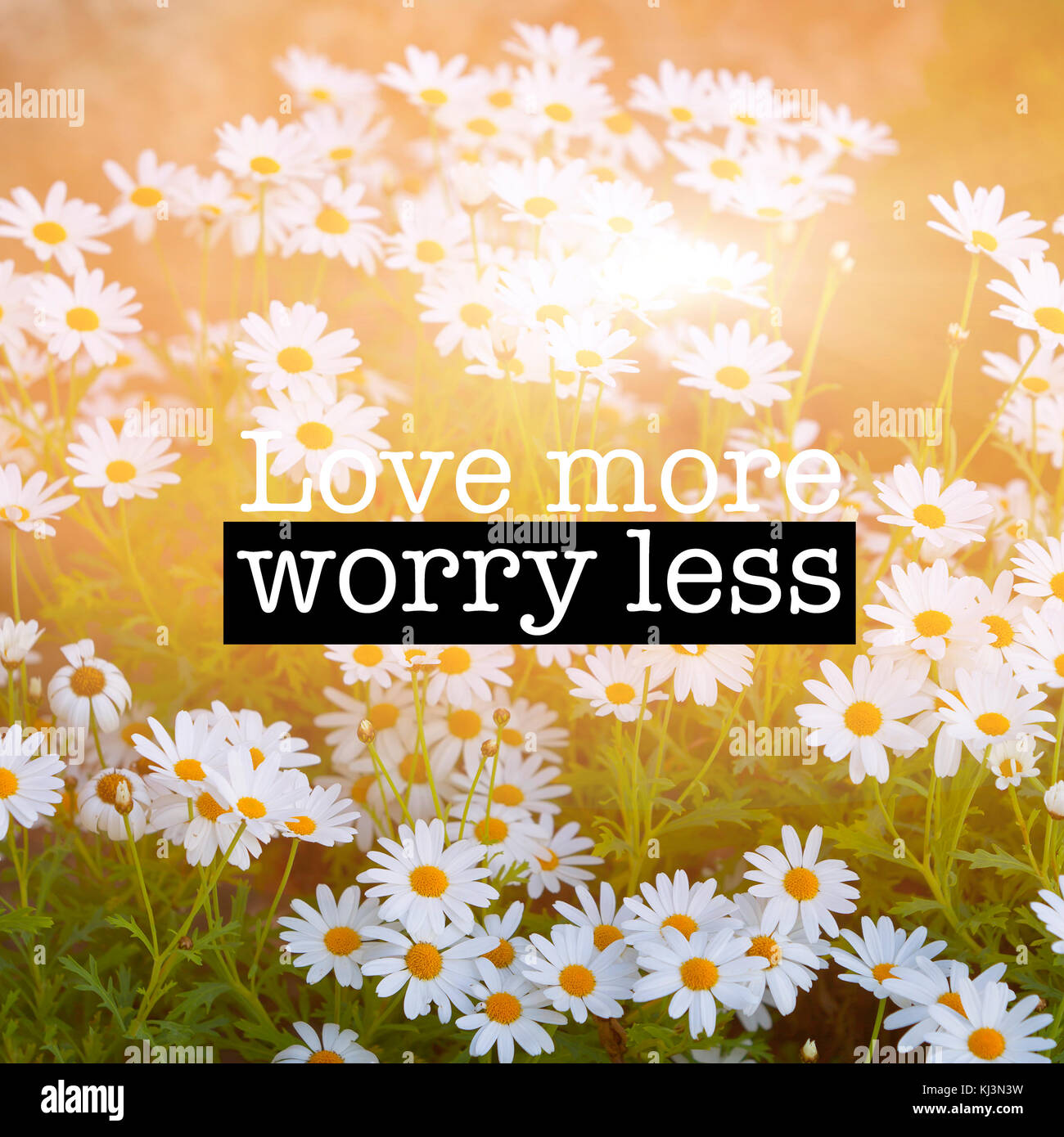 Inspirational motivation Zitat mit dem Satz "Liebe mehr weniger Sorgen", blühende Kamille Blumen Hintergrund Stockfoto