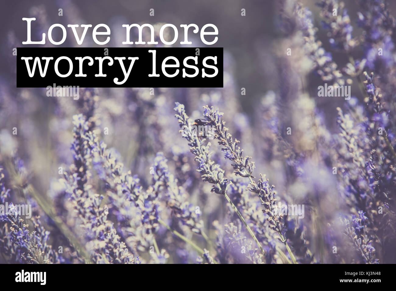 Inspirational motivation Zitat mit dem Satz "Liebe mehr weniger Sorgen", blühende Lavendel Blumen Hintergrund Stockfoto