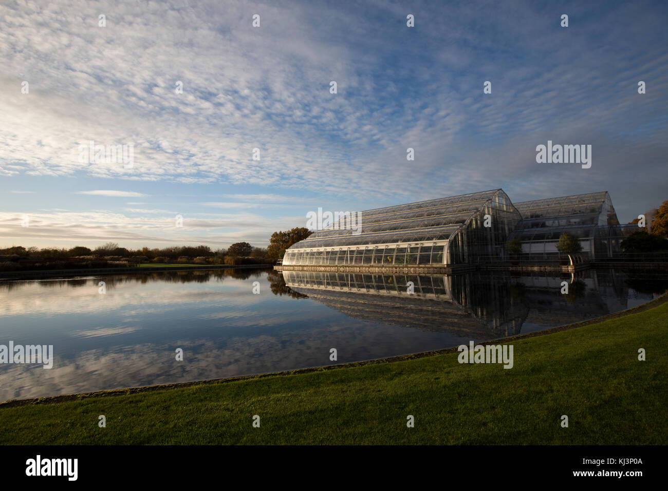 Atmosphärische herbst Abendlicht steigt über RHS Wisley Gardens Mitte November 2017, Surrey, England, Vereinigtes Königreich Stockfoto