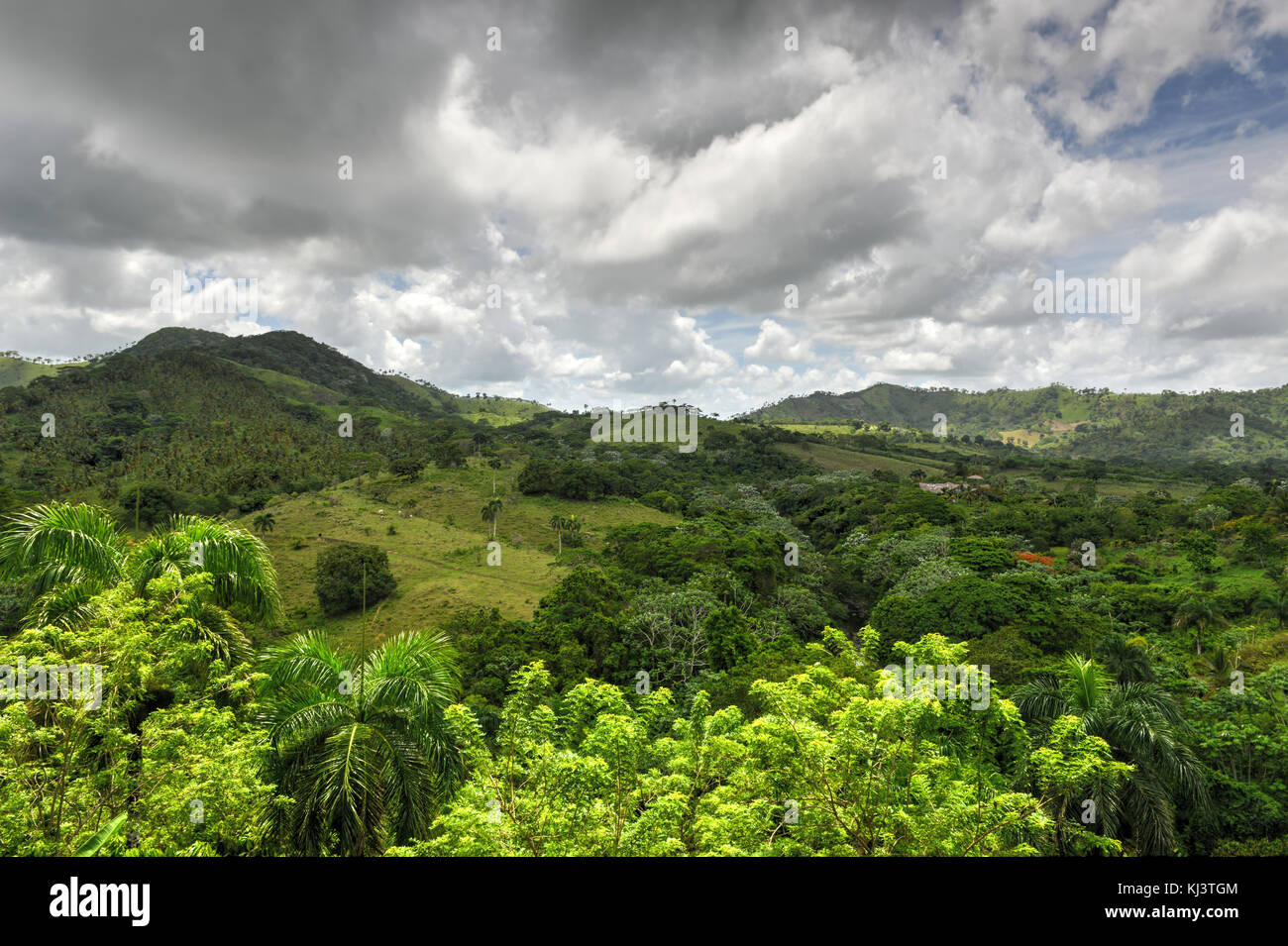 Tropischen Wald von Altagracia Provinz der Dominikanischen Republik. Stockfoto