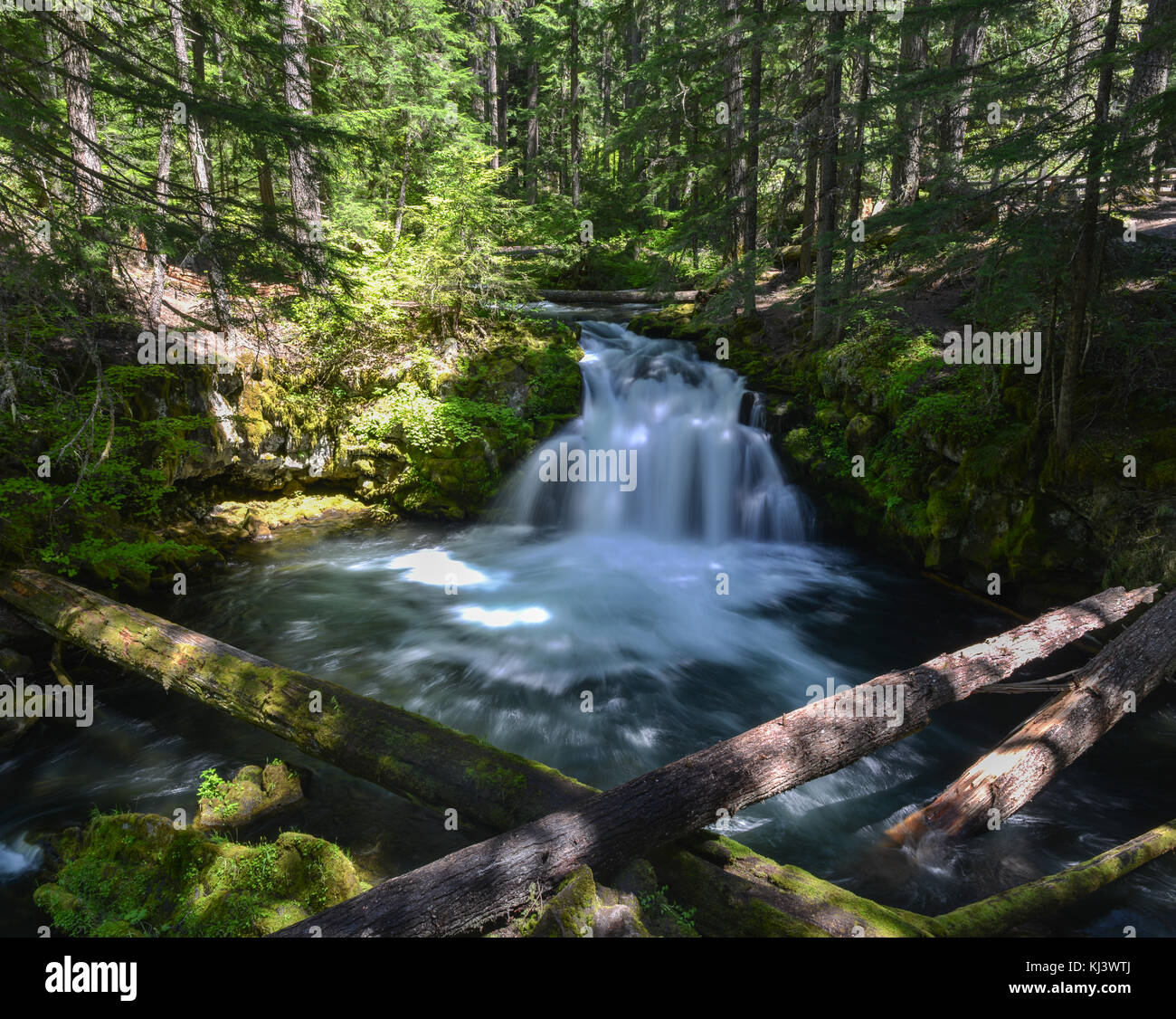 Whitehorse liegt entlang dem North Umpqua River auf Scenic Highway 138 in der Nähe von Roseburg, Oregon. Stockfoto