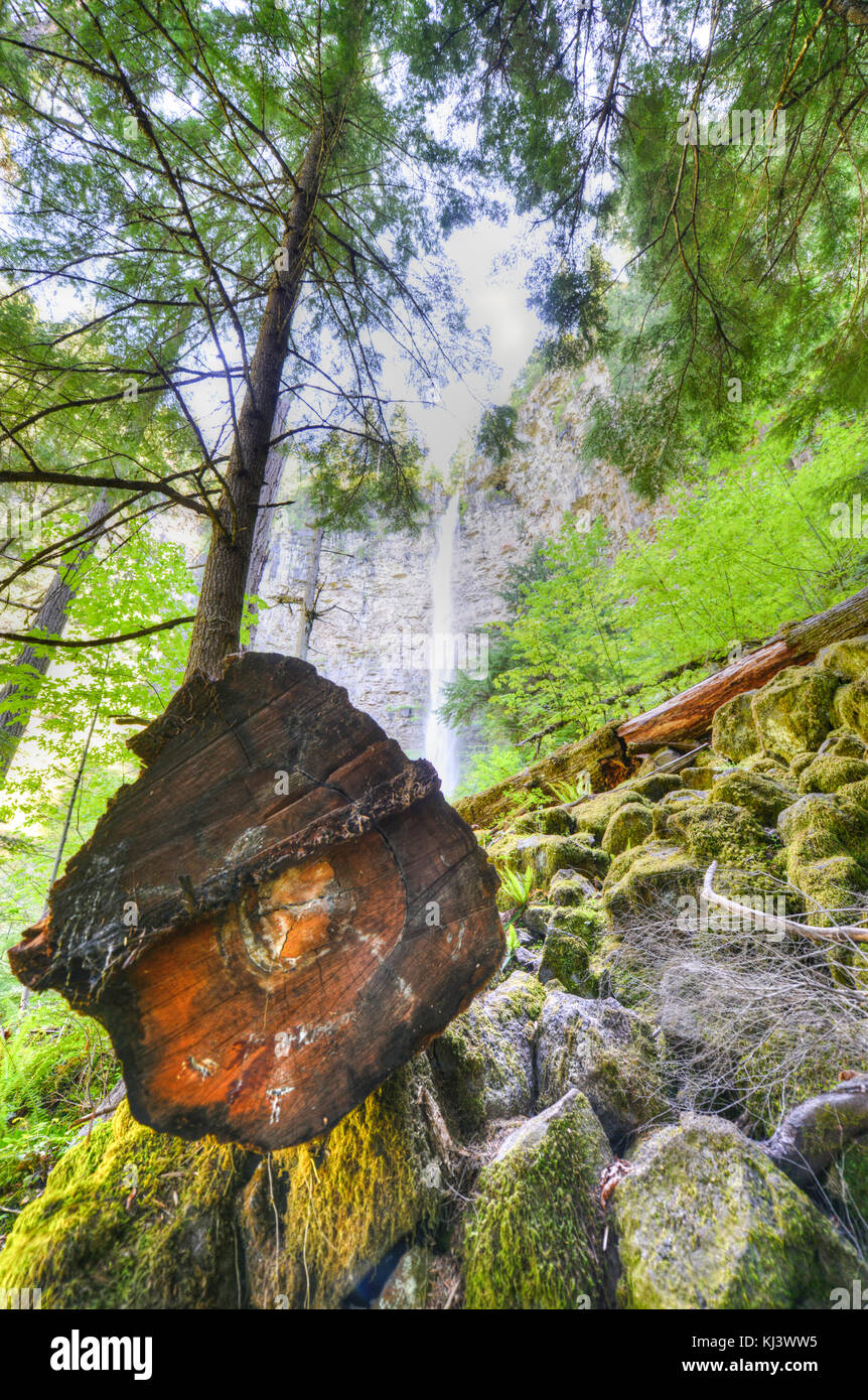 Watson fällt im Norden Umpqua River basin. Einer der höchsten Wasserfälle in Oregon, Watson fällt stürzt 272 Meter in die Moosbedeckten base. Stockfoto