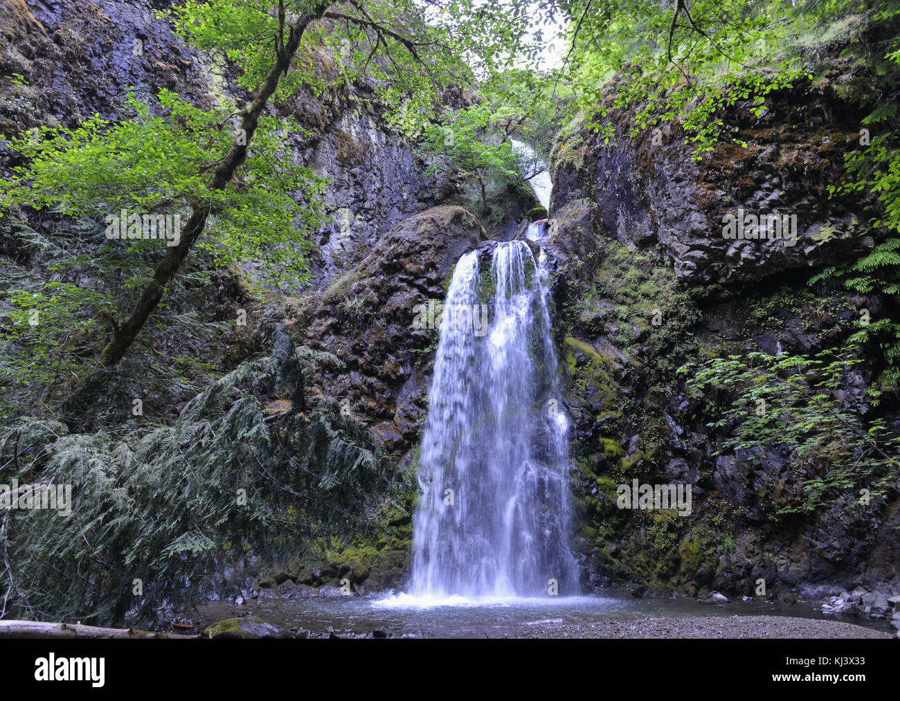 Fall Creek Falls, Virginia in der umpqua National Forest. Stockfoto