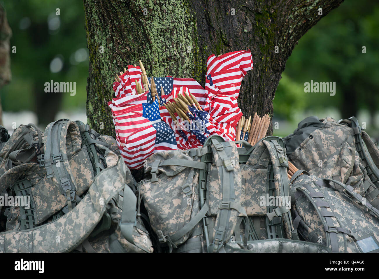 Die Mitglieder des 3D-US-Infanterie Regiment (Die Alte Garde) Participte in Flags-In - Mai 25, 2017 (34891843605) Stockfoto