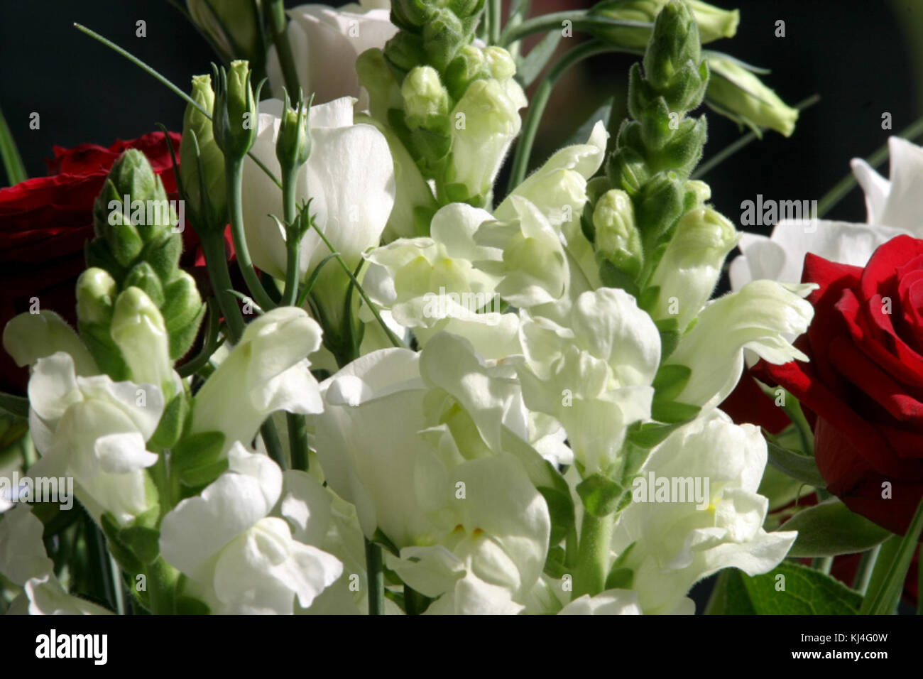 Dieses Bild zeigt eine historische Szene an einer Tankstelle, wahrscheinlich aus der Mitte des 20. Jahrhunderts. Es zeigt die Anfänge der Automobilkultur und -Infrastruktur. Stockfoto