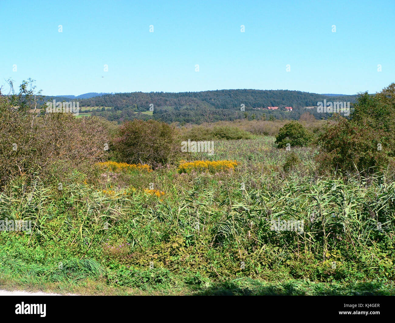Mindelsee 2 Stockfoto