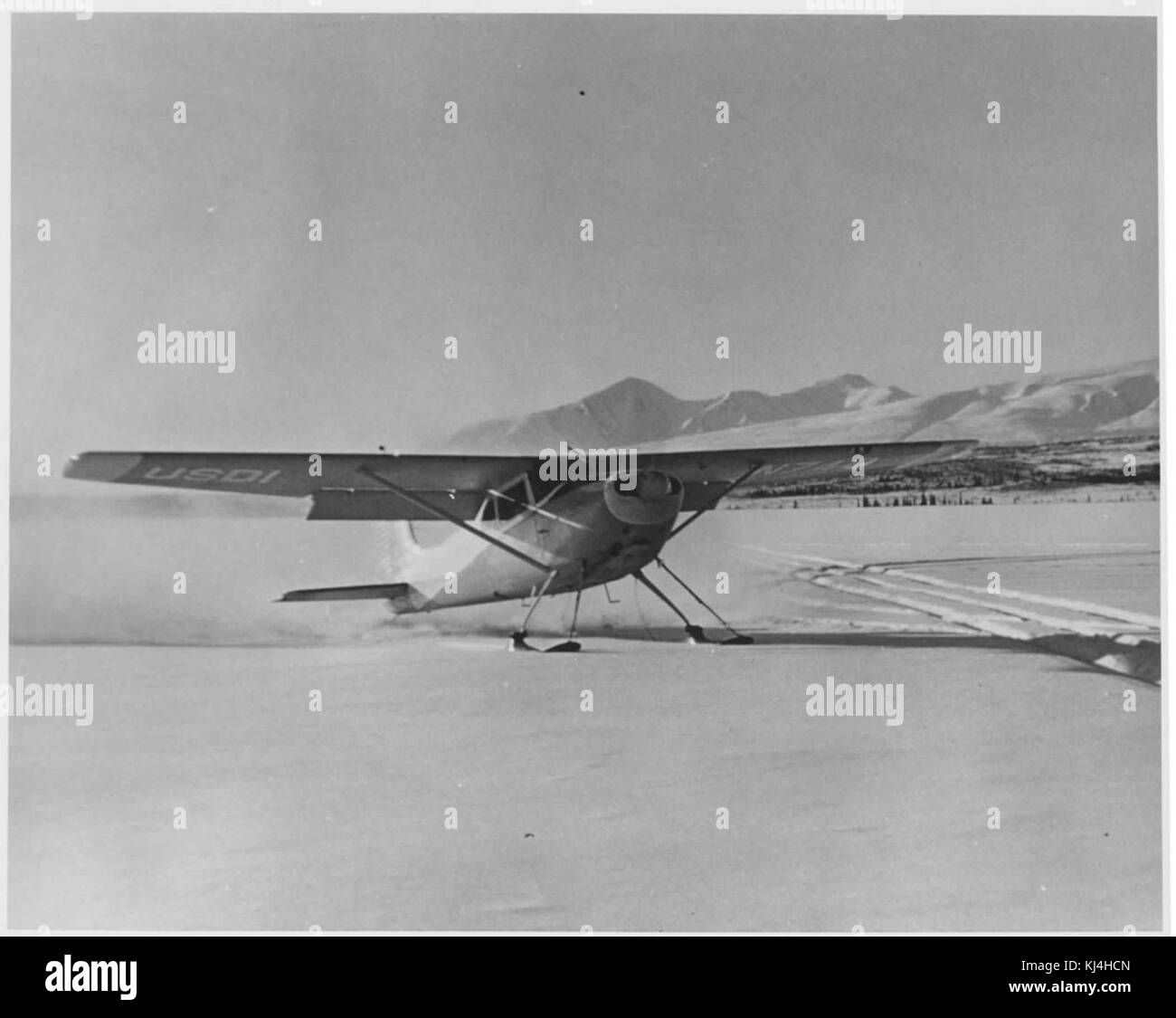 Cessna 180 monoplan Landung auf dem Schnee Stockfoto