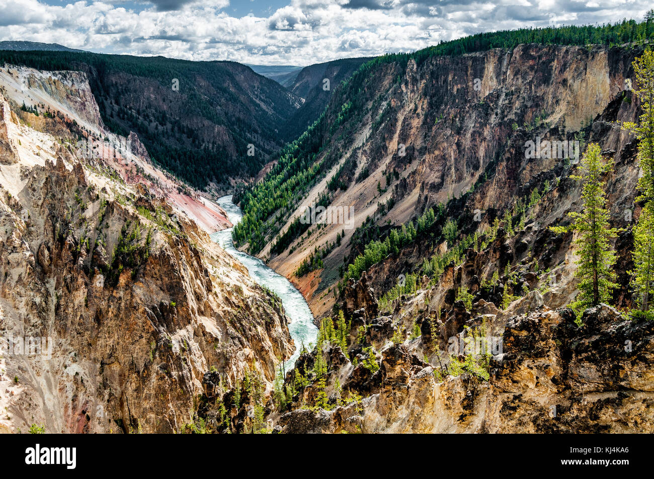 Rapids in den Coloured Canyon des Yellowstone River im Yellowstone National Park Stockfoto