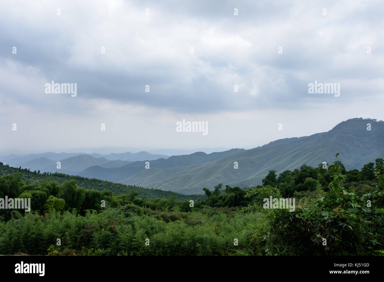 Blick über Tal mit bewölktem Himmel und grünen Bambus Wald an der Moganshan in China Stockfoto