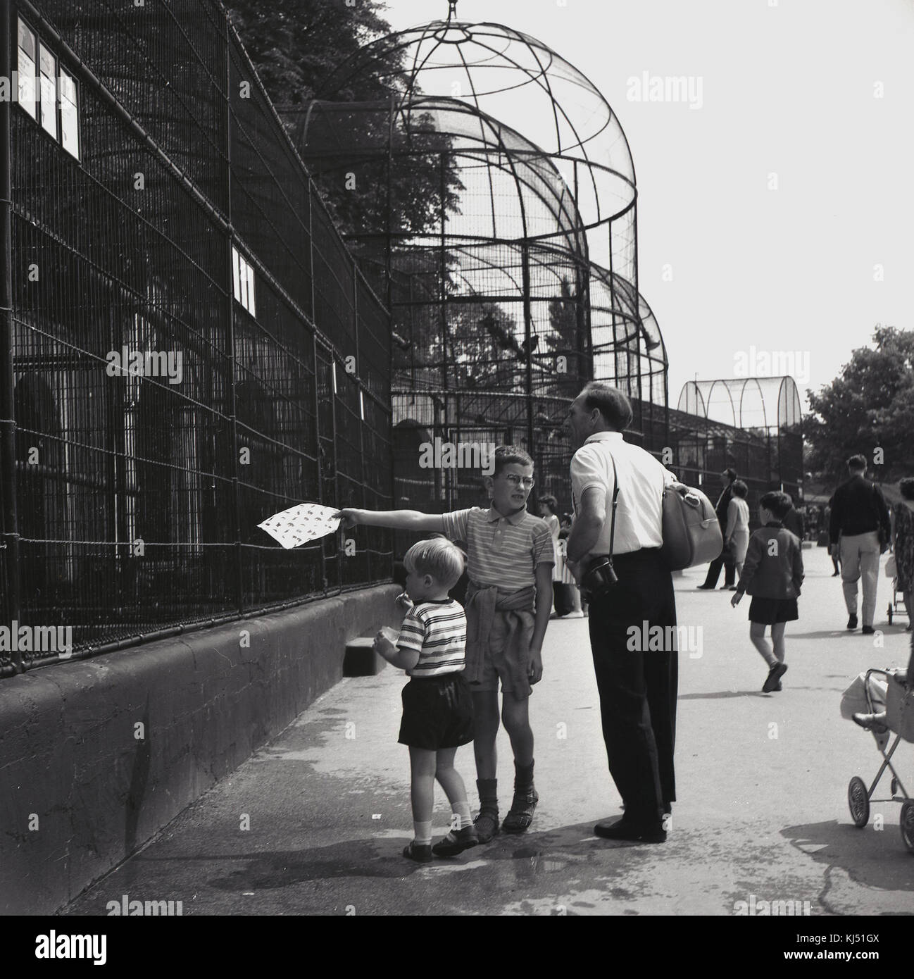 1950, historische, Vater und Söhne, die London Zoo und mit Blick auf die Vögel und Tiere hinter dem dekorativen viktorianischen gebaut, schmiedeeiserne Zäune, Regents Park, London, NW1, England, UK. Stockfoto