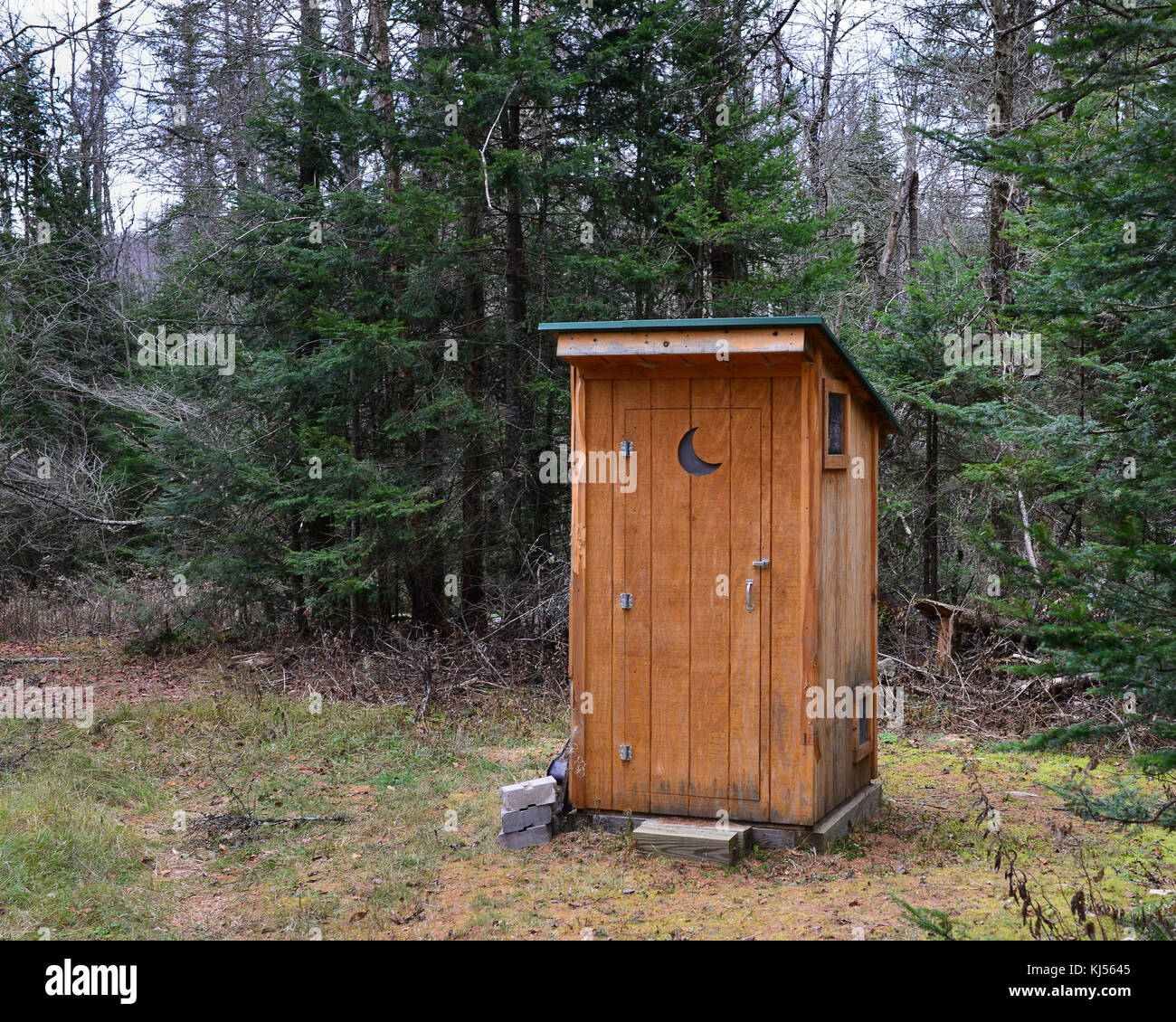 Neu errichteten Nebengebäude in der Adirondack Wüste, NY mit territorialen Kralle Markierungen von einem schwarzen Bären an den Ecken. Stockfoto