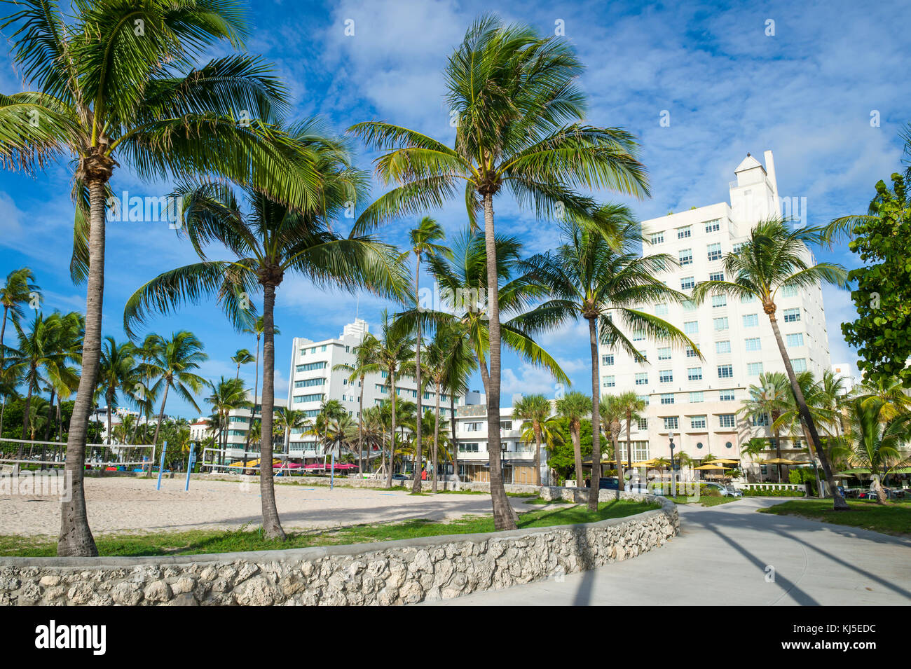 Blick auf Palmen in der Lummus Park mit Hintergrund der Art-deco-Ocean Drive in South Beach, Miami Stockfoto