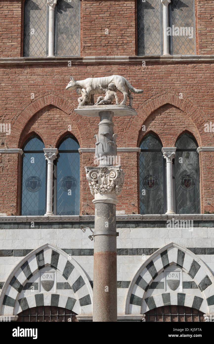 Kapitolinischen wolf Statue auf Spalte. Siena, Italien. Stockfoto