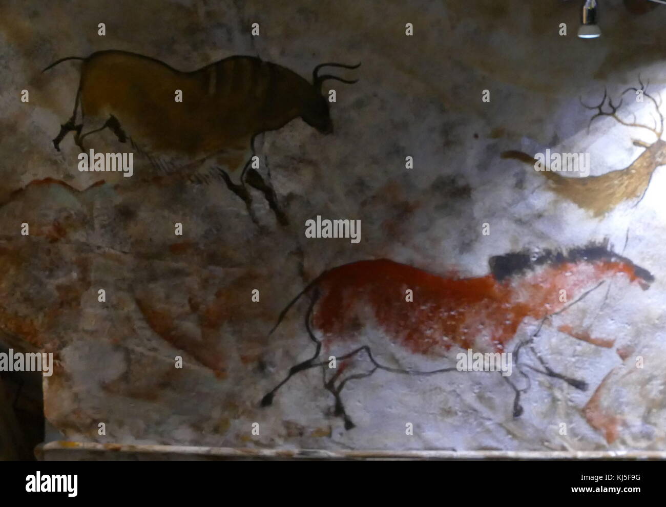 Höhlenmalereien in der Höhle von Altamira, in Kantabrien, Spanien gefunden, die aus dem oberen Paläolithikum. Stockfoto