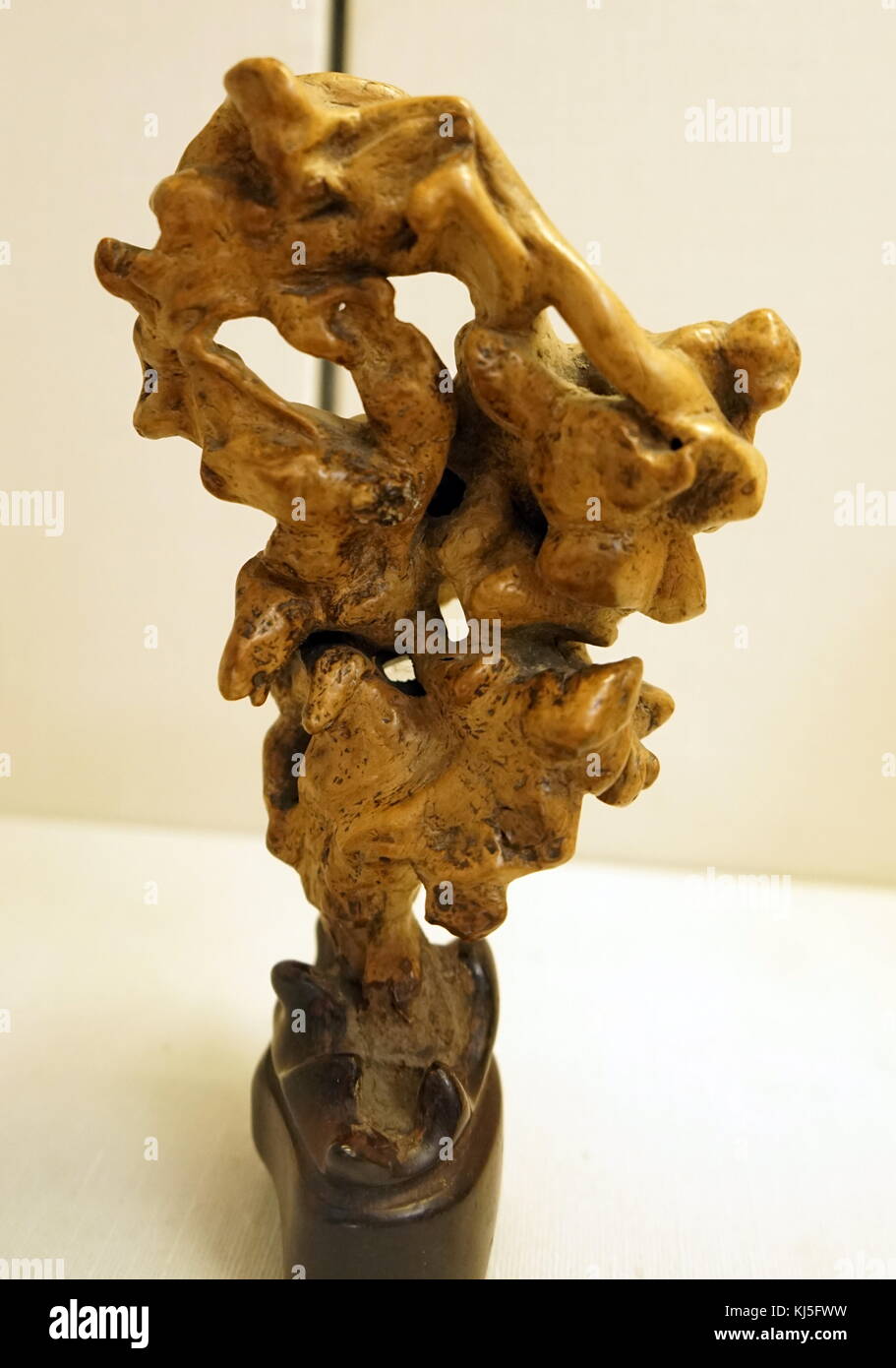 Natürliches holz skulptur Nachahmen ist ein gelehrter Rock der späten Qing-Dynastie. Vom 19. Jahrhundert Stockfoto