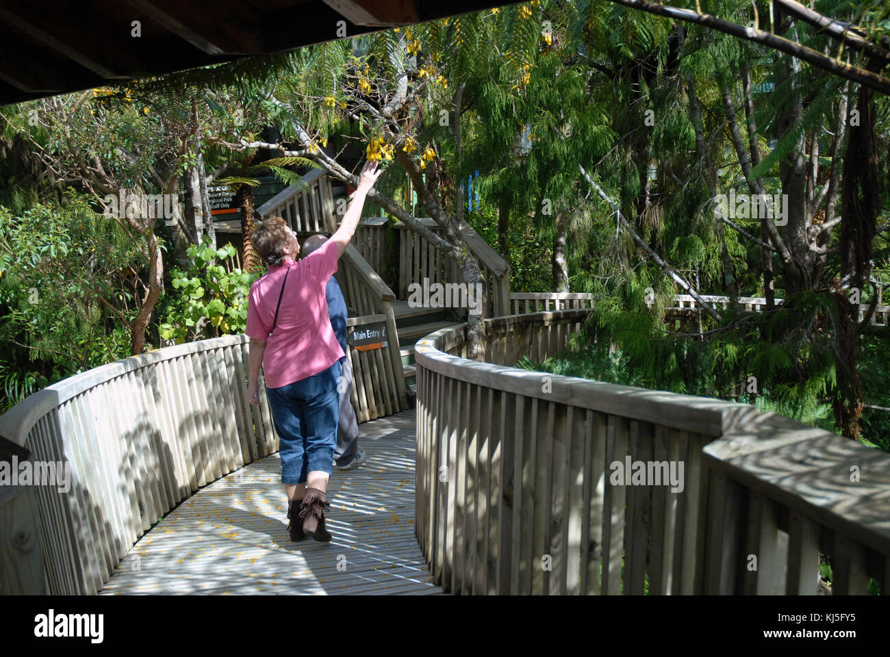 Arataki Nature Center entfernt, Arataki Besucherzentrum, Waitakere Ranges Regional Park, Neuseeland. Stockfoto