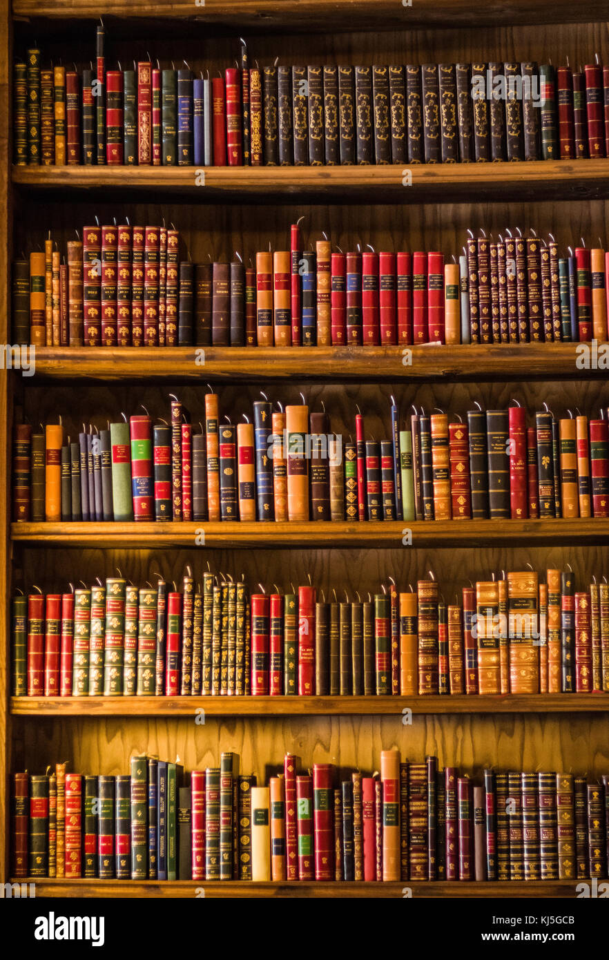 Klassische Bibliothek, Mateus Palast, Portugal Stockfoto