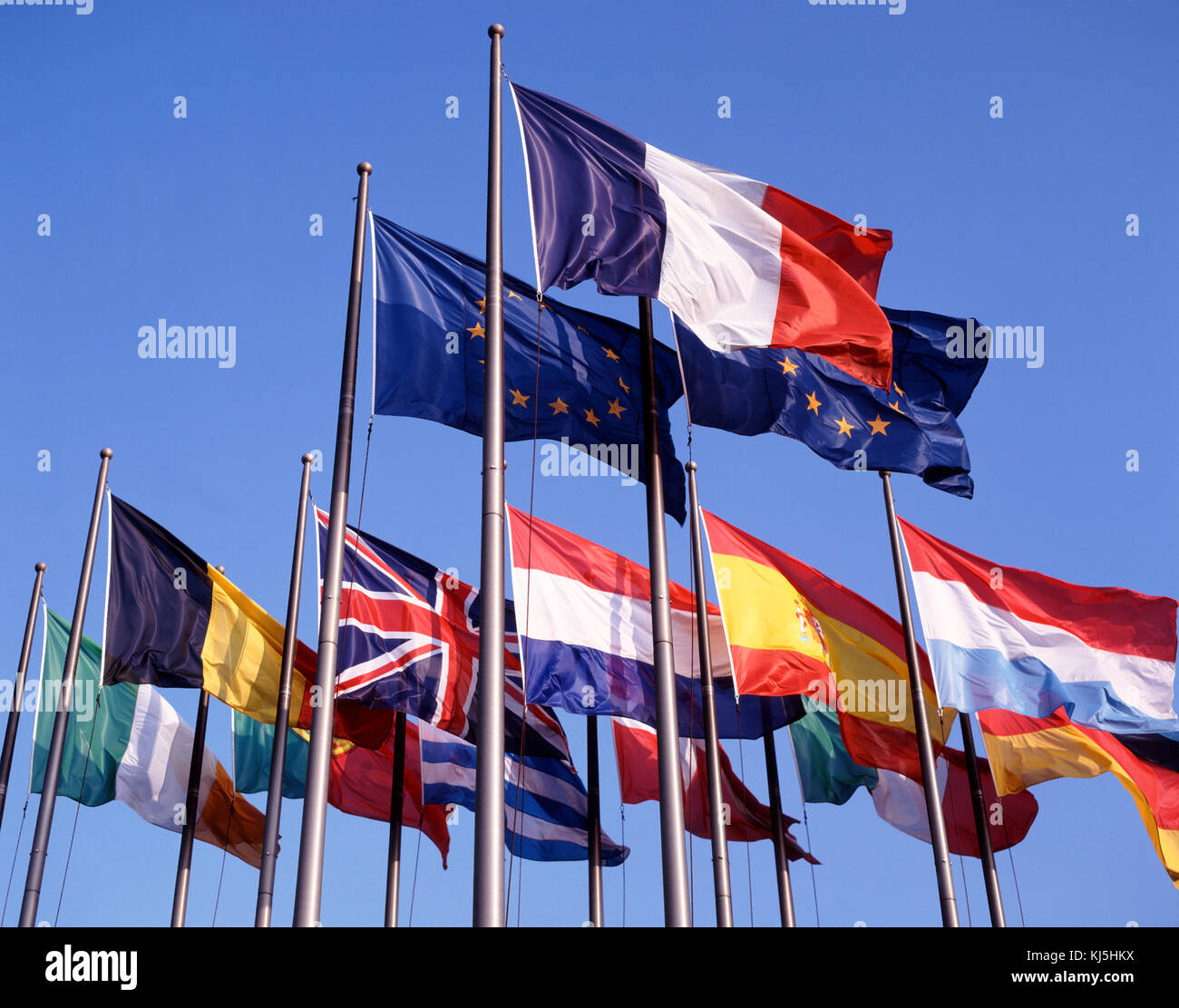 Internationale Flaggen Stockfoto
