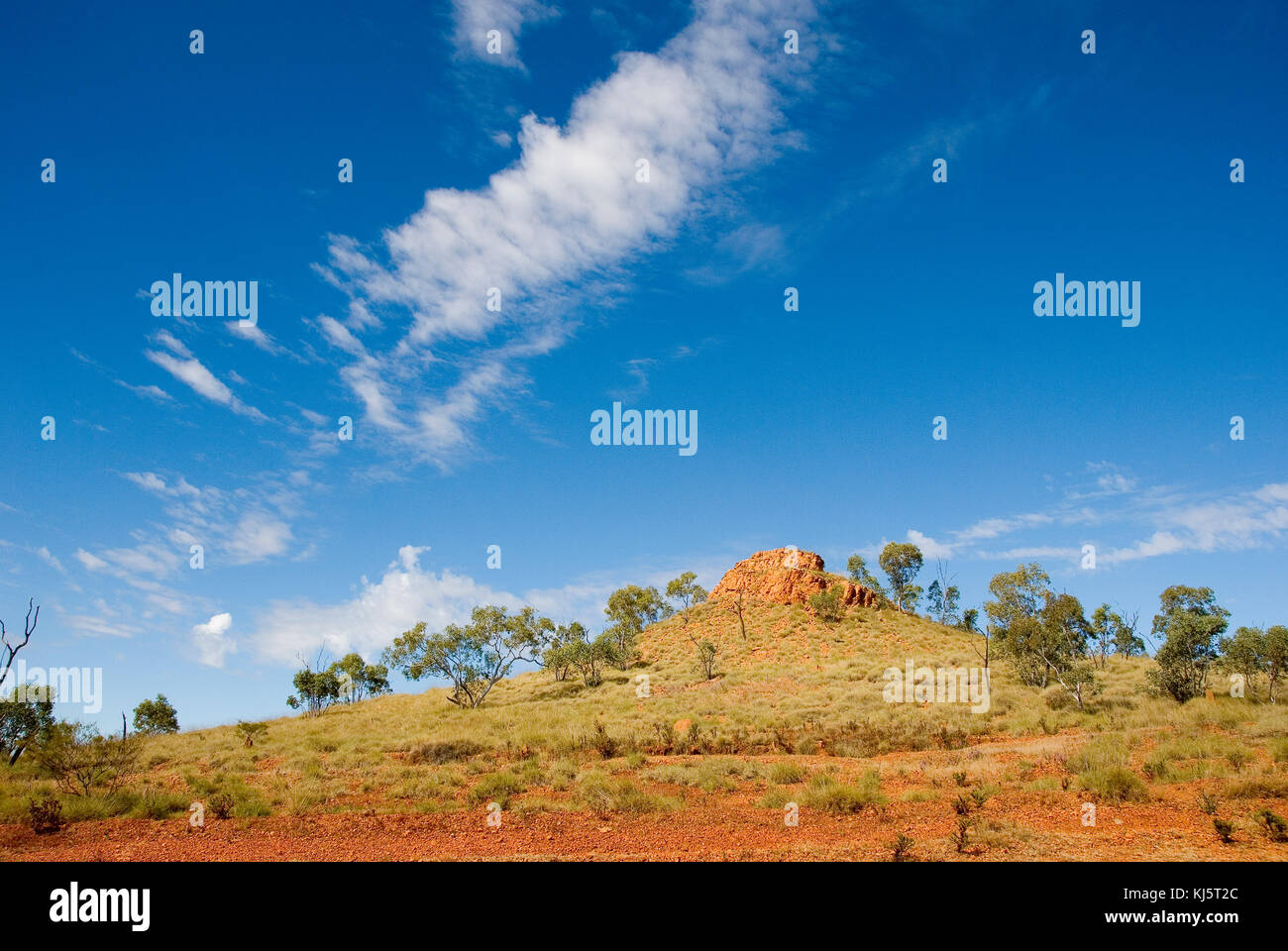 Riversleigh Fossil Fields, Boodjamulla National Park, westlichen Queensland Stockfoto