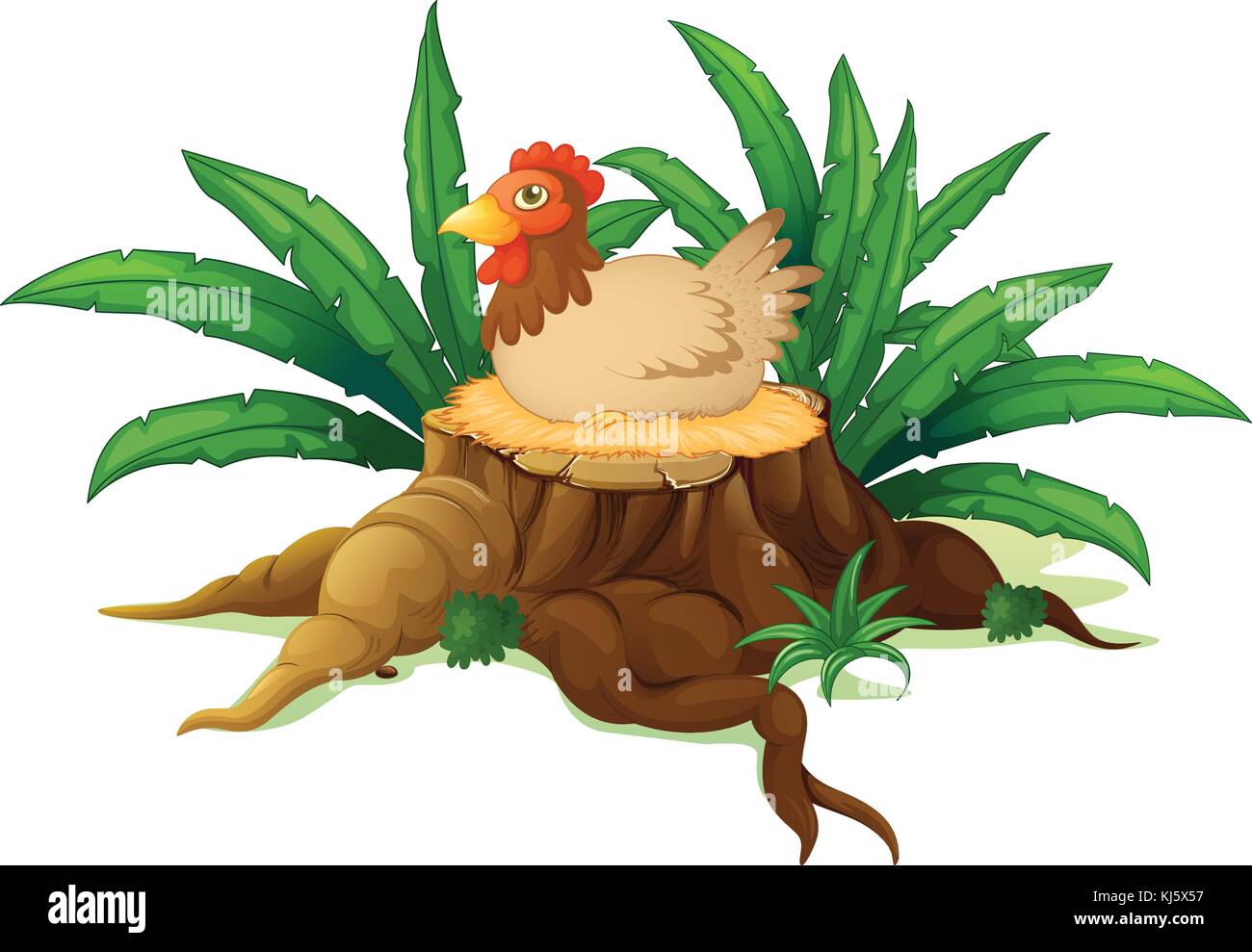 Abbildung: ein Huhn vor einem Baumstumpf auf weißem Hintergrund Stock Vektor