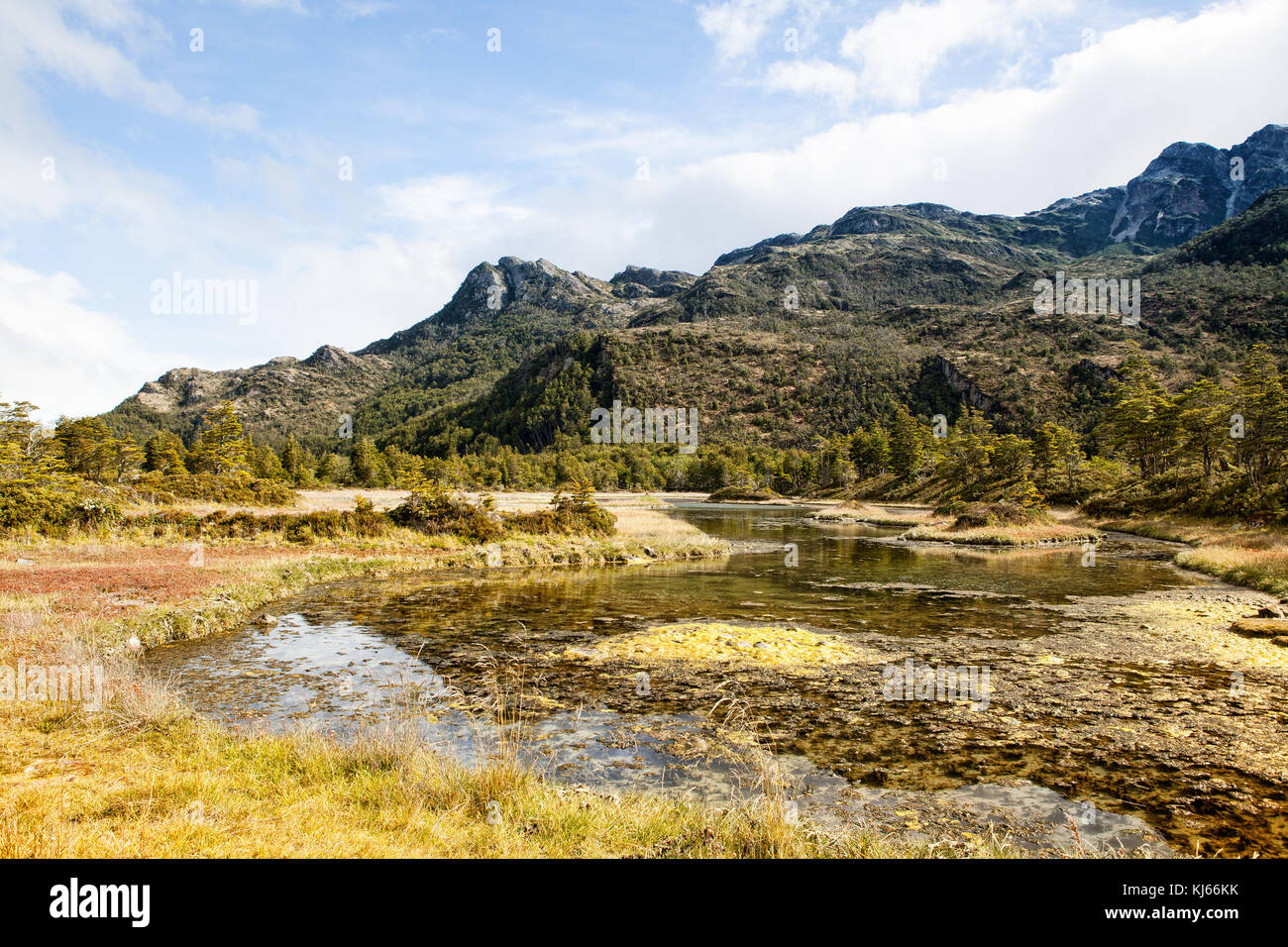 Caleta Wulaia, baie de Wulaia, Chile Stockfoto