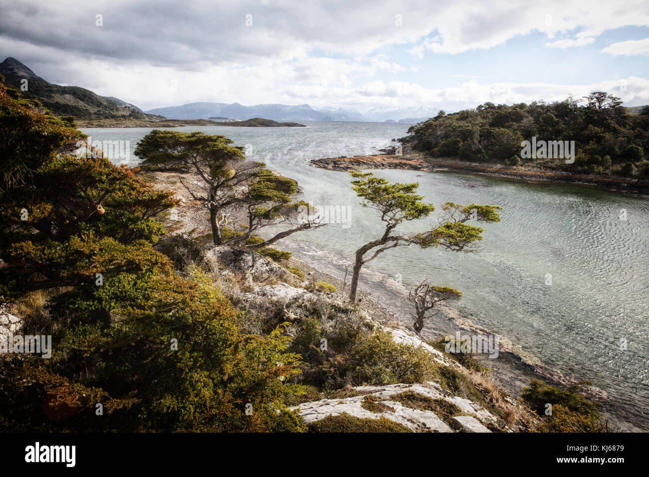 Isla Novarino, Chile, Südamerika, Patagonien Stockfoto