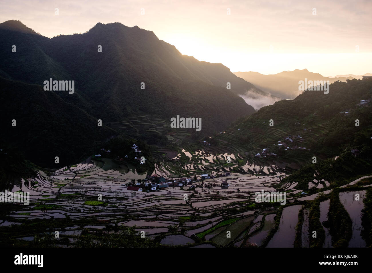 Reisfelder im Norden der Philippinen Stockfoto