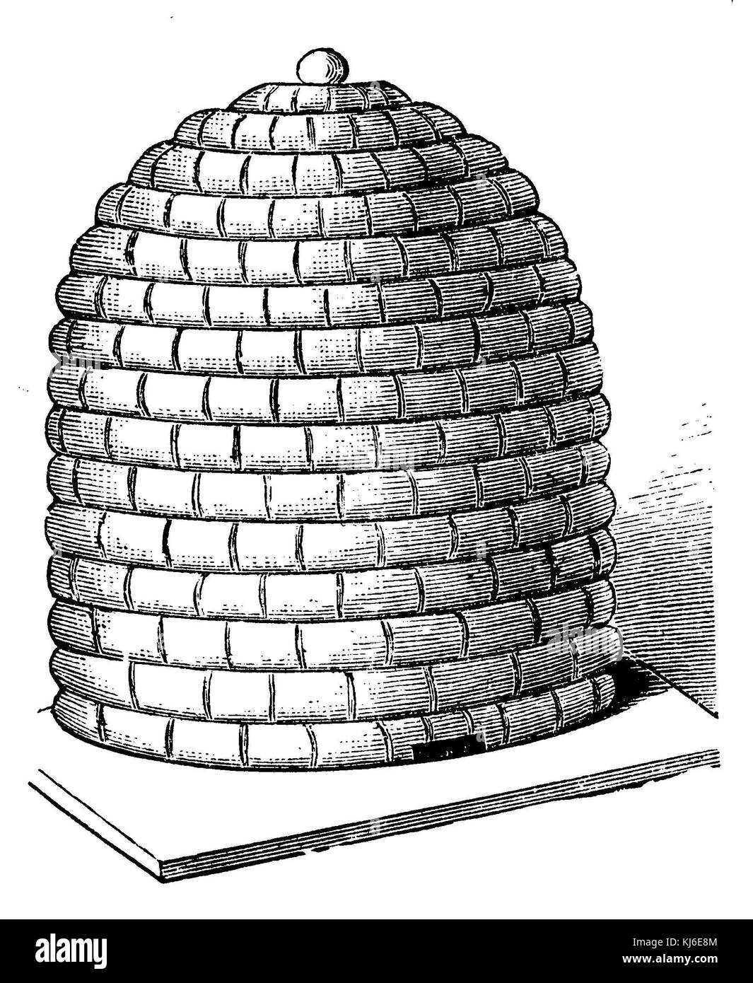 Geflochtene beehive (geflochtener Zur) Stockfoto