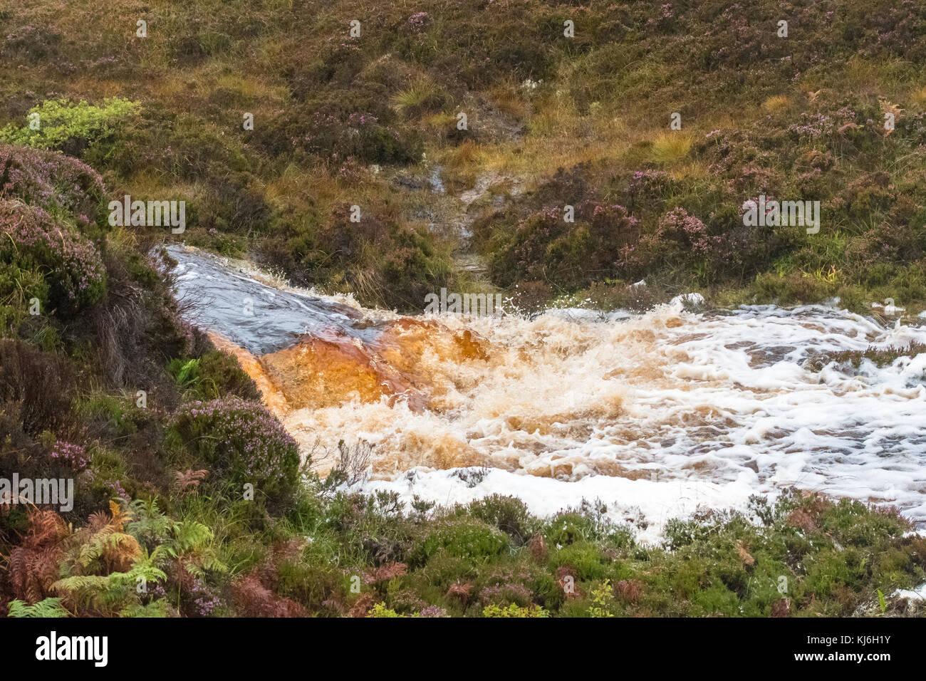 Schnell fließender, torfbefleckter Fluss mit Schaum nach starkem Regen - Hoy, Orkney, Schottland, Großbritannien Stockfoto