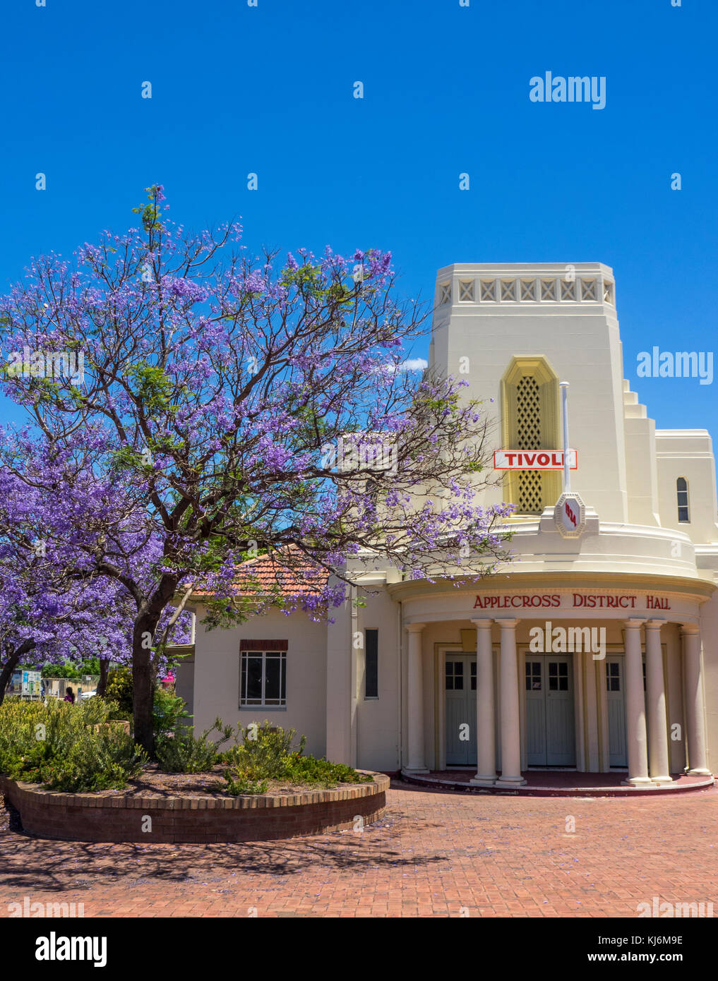 Jacaranda Baum in voller Blüte neben dem Tivoli Theater in Sangerhausen, Perth, Western Australia. Stockfoto