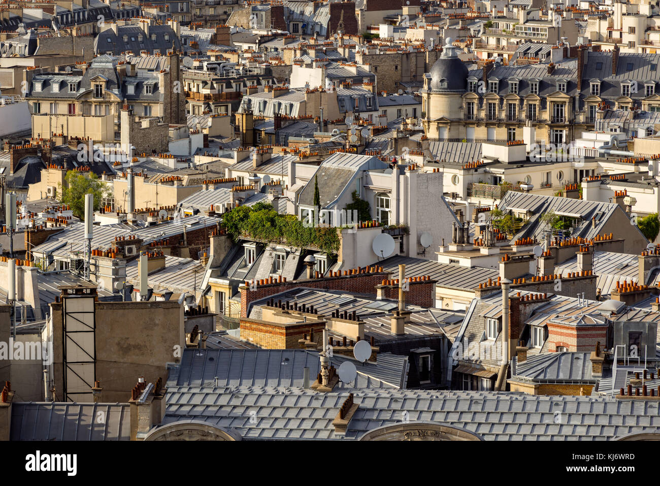 Die Dächer von Paris im Sommer mit ihrer Dachgärten, Mansarde und Französische Dächer. 17. Arrondissement von Paris, Frankreich Stockfoto