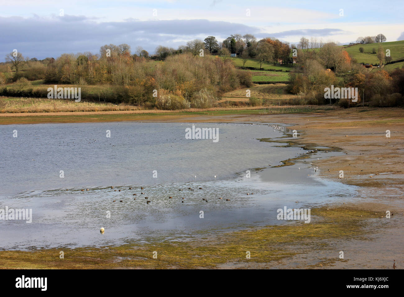 Millfields Bay, Carsington Water, Derbyshire, Großbritannien Stockfoto