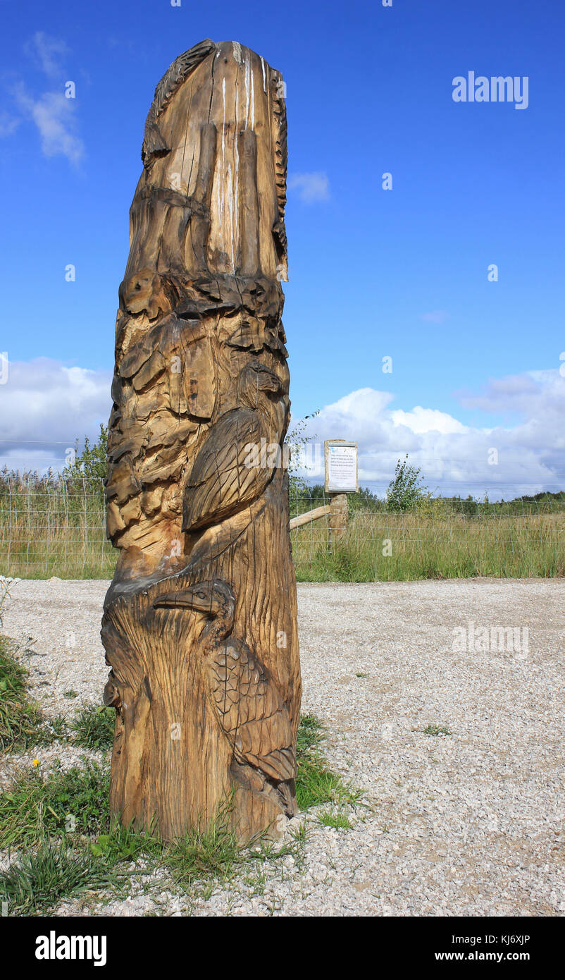 Aus Holz geschnitzte Totem Pole, Vögeln und Wildtieren - Zum 60. Jahrestag der RSPB Fairburn Ings finden Gedenken Stockfoto