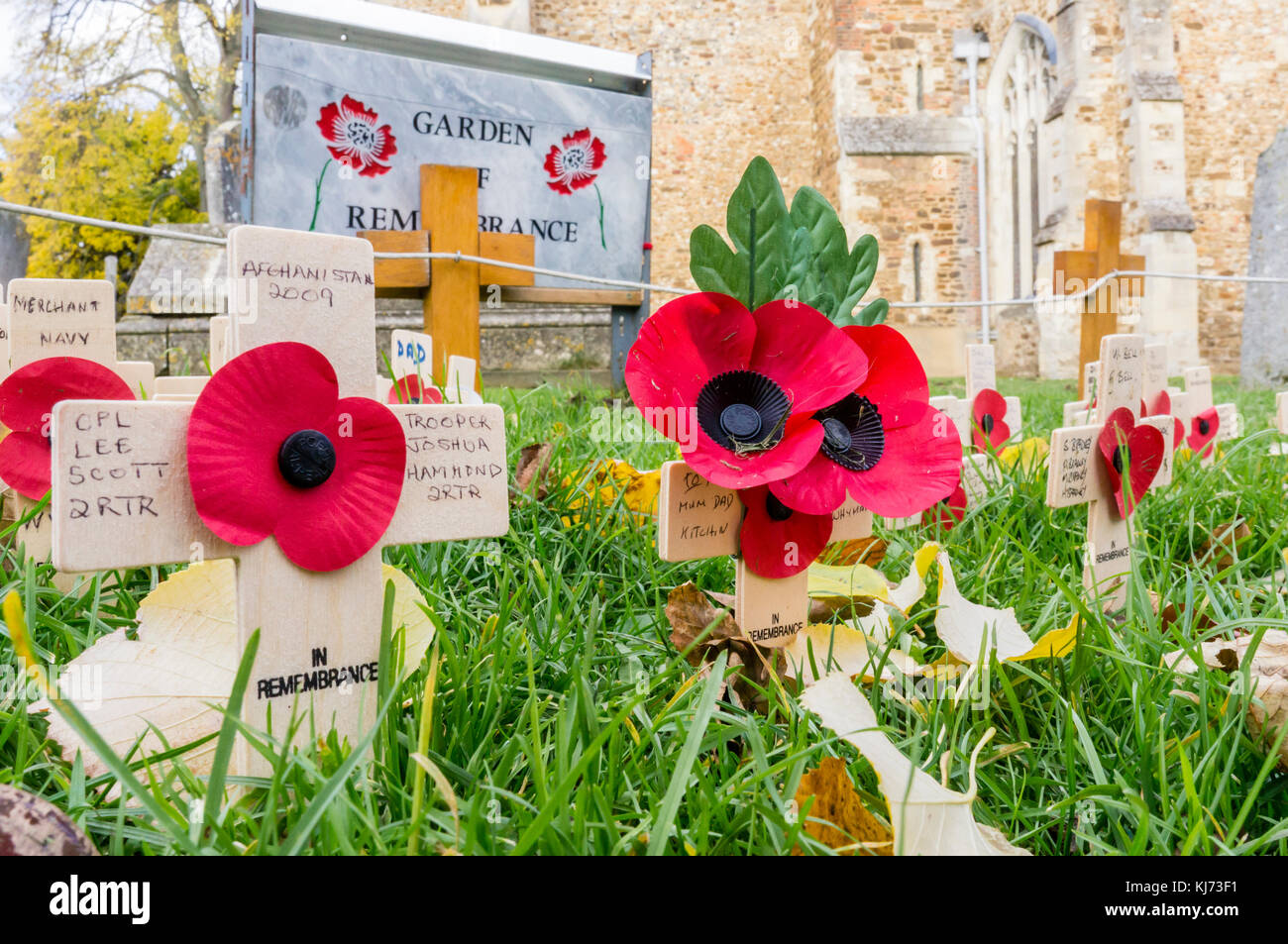 Mohn im Garten der Erinnerung, Stevenage, Hertfordshire, England, GB, UK Stockfoto