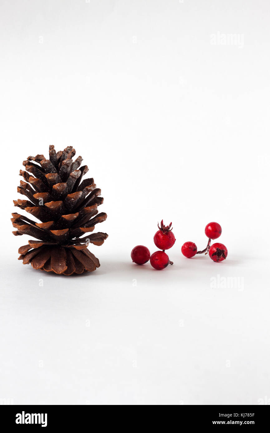 Minimal Art Weihnachten Komposition mit Pine Cone und Mistel Berry auf weißem Hintergrund Stockfoto