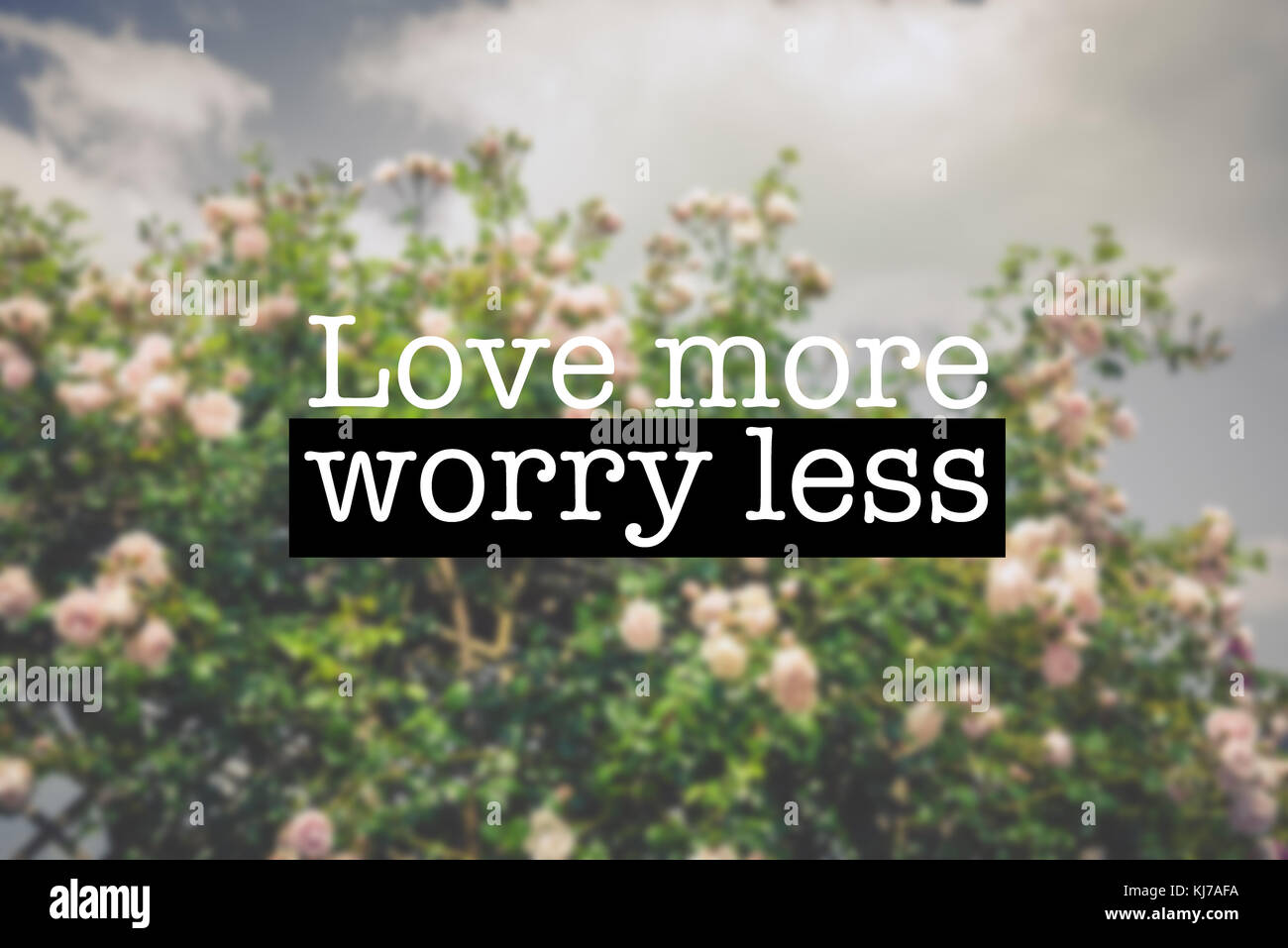 Inspirational motivation Zitat mit dem Satz "Liebe mehr weniger Sorgen", blühende Rosen Blumen Hintergrund Stockfoto