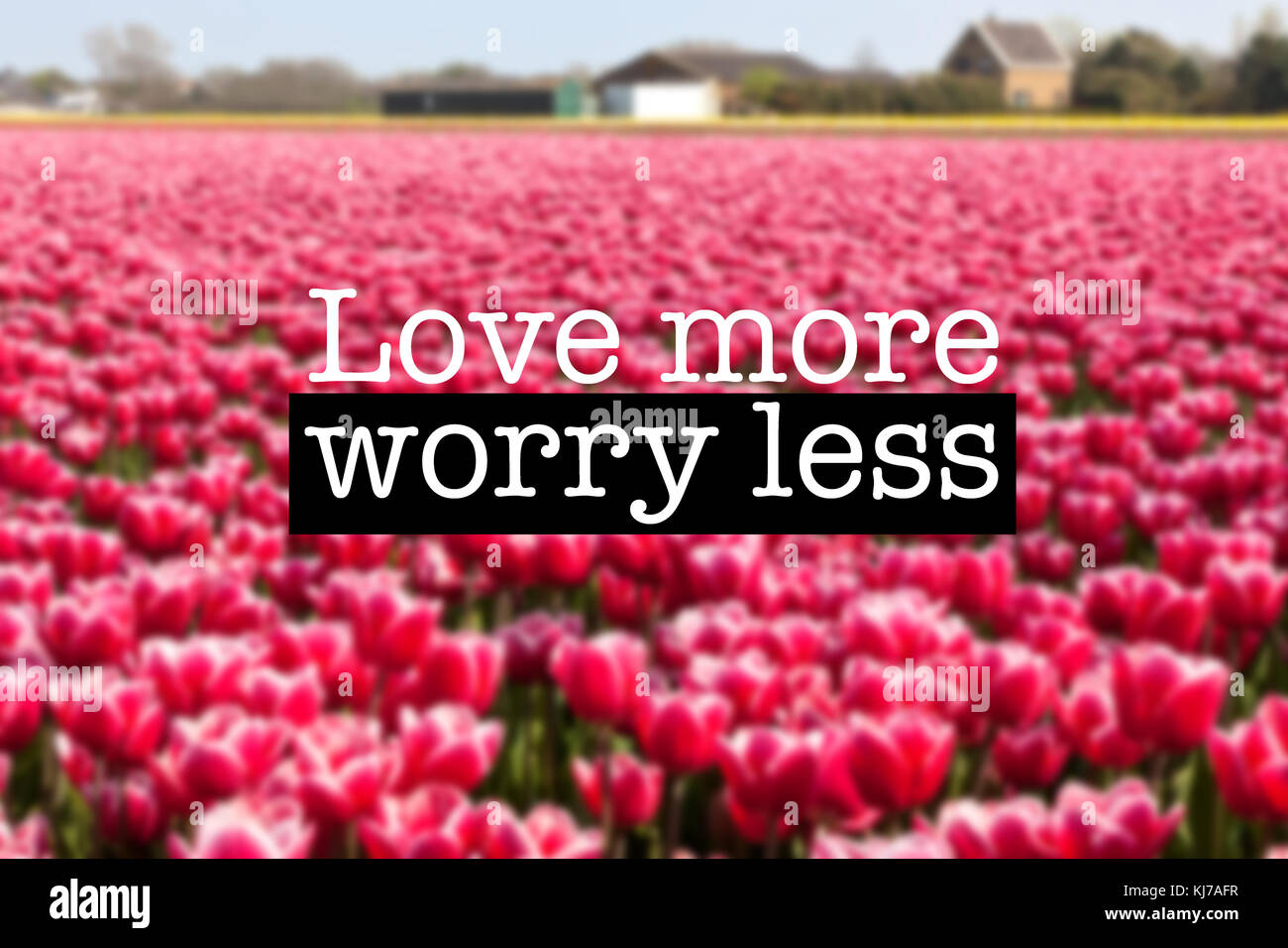 Inspirational motivation Zitat mit dem Satz "Liebe mehr weniger Sorgen", blühende Tulpen Blumen Hintergrund Stockfoto