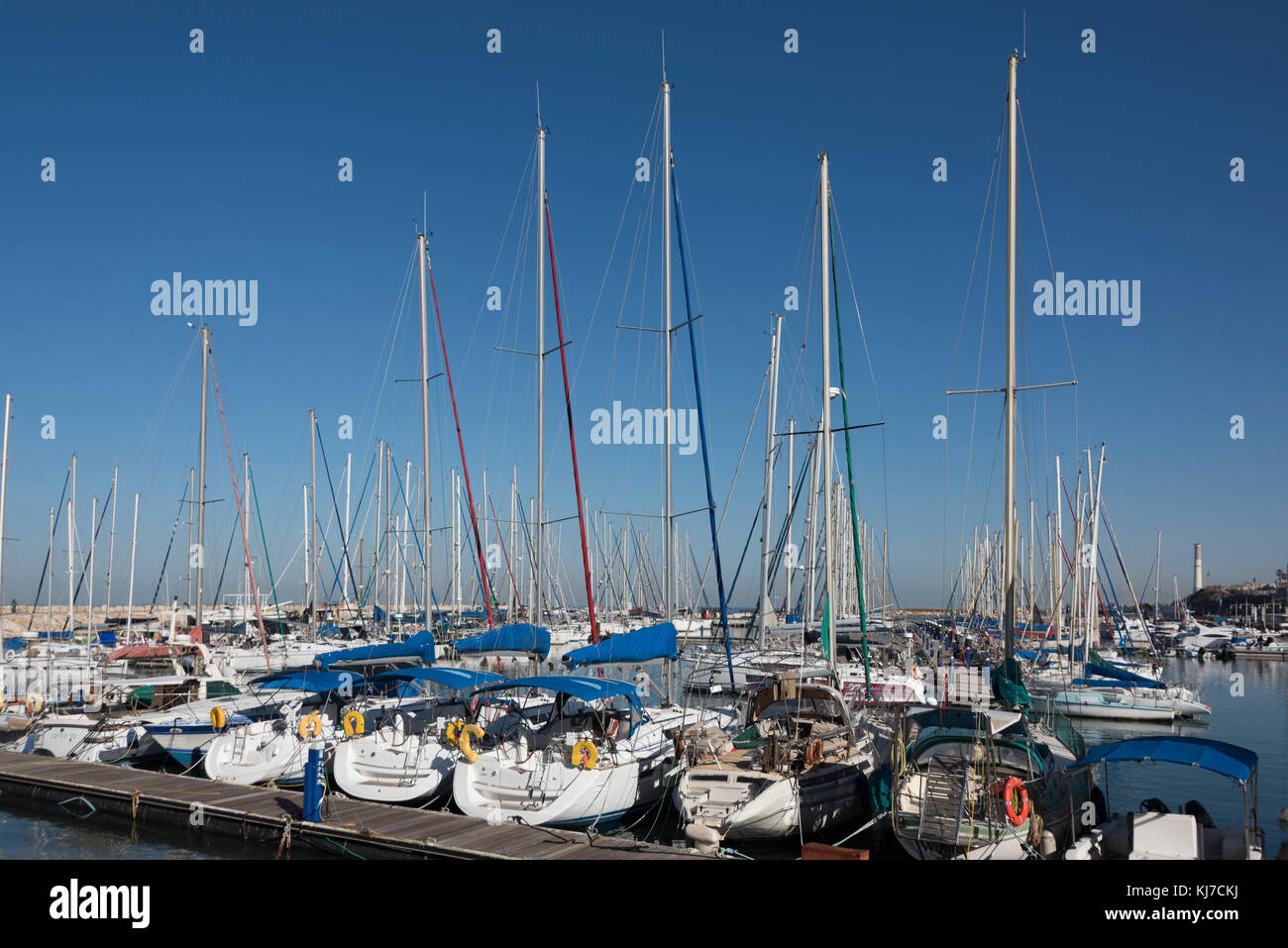 Boote an der Marina, Tel Aviv - yafo, Tel Aviv, Israel Stockfoto