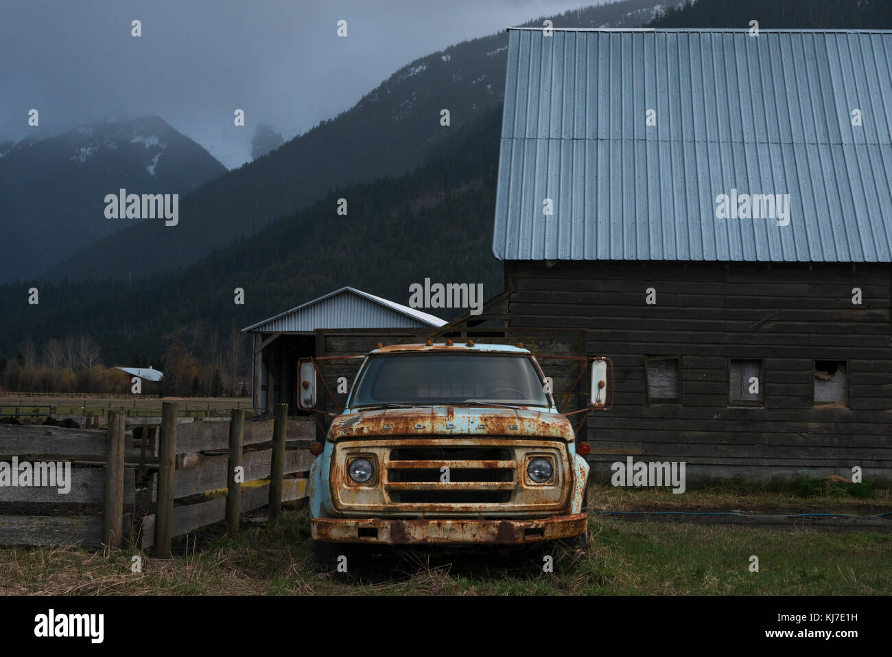 Abgebrochene rusty Lkw im Feld, squamish - regionalen Bezirk Lillooet, British Columbia, Kanada Stockfoto