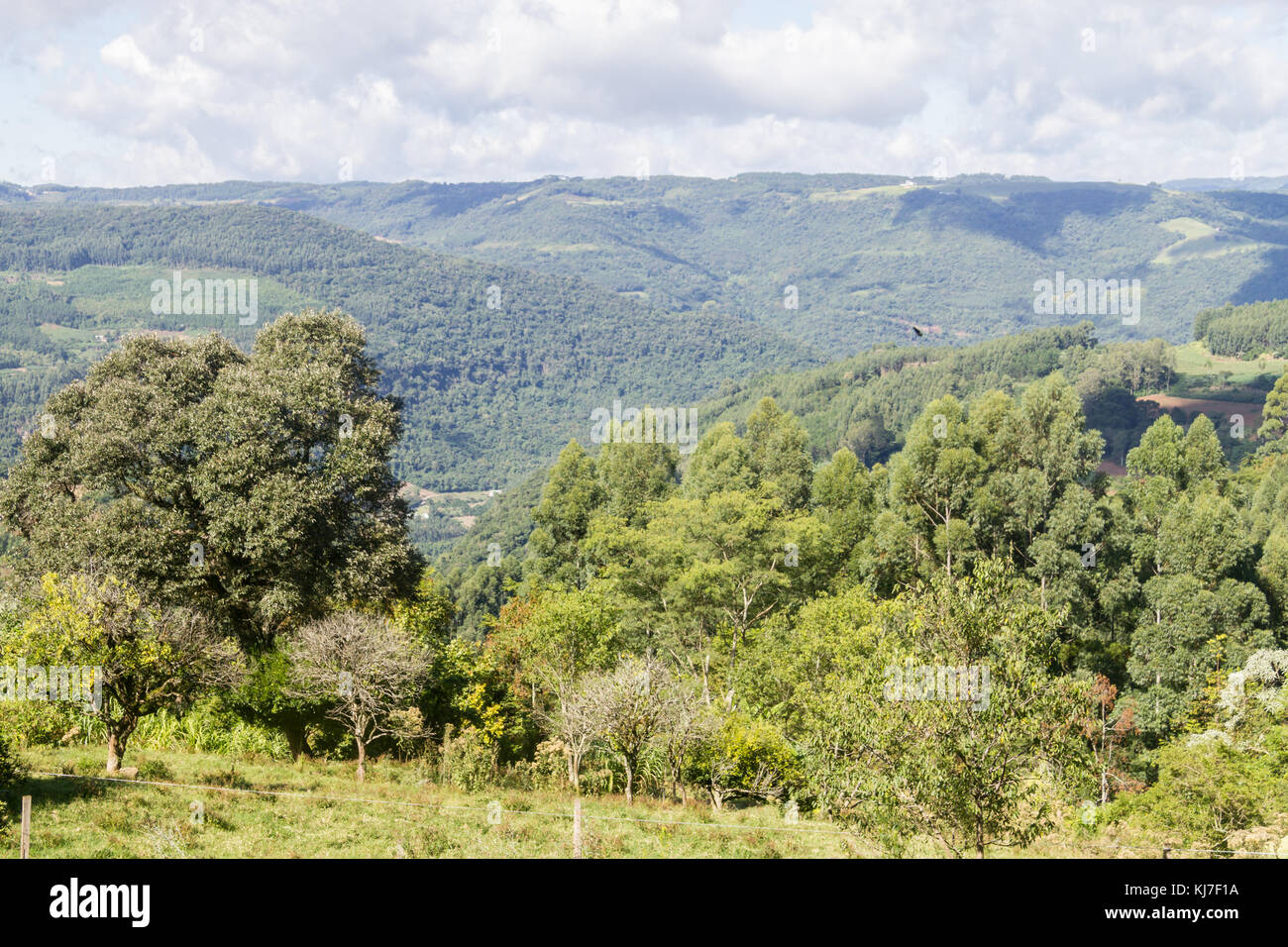 Das Tal und die Berge in Nova Petropolis, Rio Grande do Sul, Brasilien Stockfoto