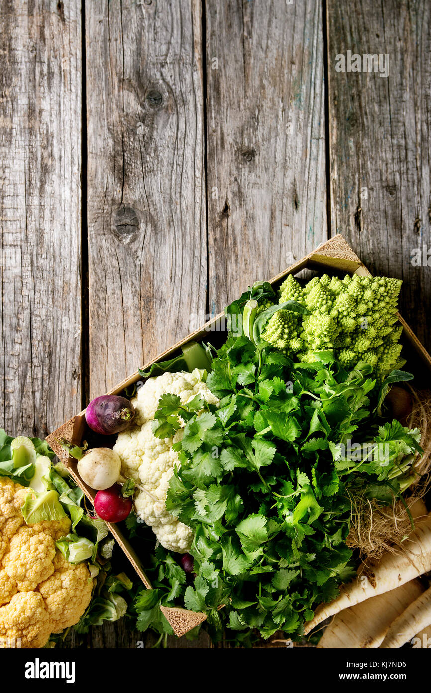 Auswahl an frischen rohen organischen bunten Blumenkohl, Romanesco Kohl und Rettich mit Bündel von Koriander in Holz, über alte Holz- Hintergrund. Nach oben V Stockfoto