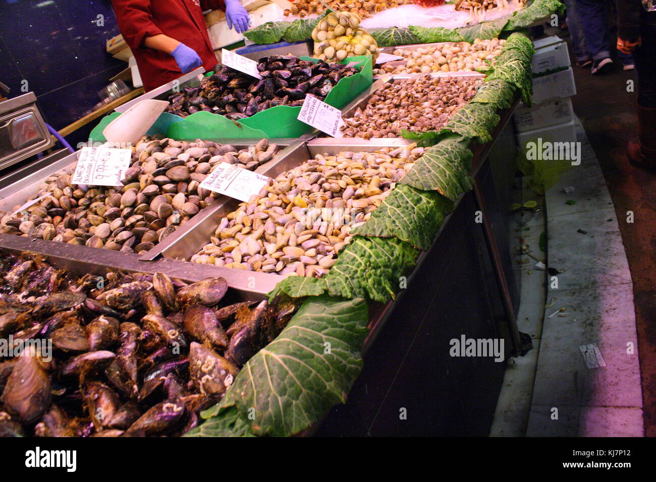 Eine große Auswahl an Muscheln und essbaren Muscheln auf Verkauf auf dem Fischmarkt. Stockfoto