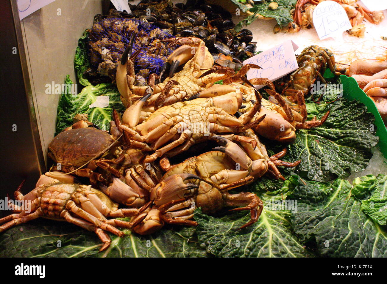 Eine Nahaufnahme der Krabben auf Anzeige an der Küste Fischmarkt. Stockfoto