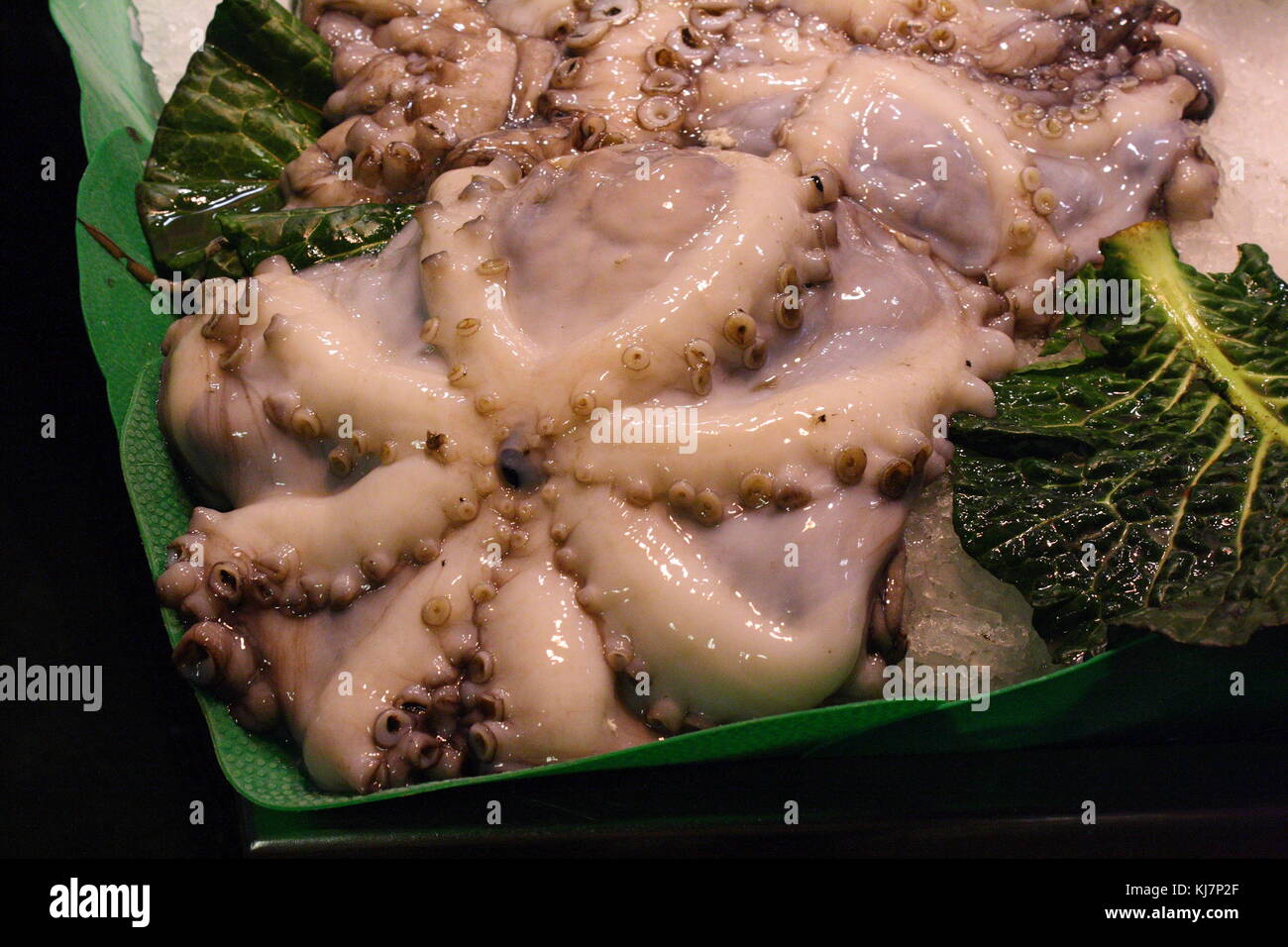 Eine Nahaufnahme von Octopus für Verkauf am Fishermans Markt in Barcelona, Spanien. Stockfoto