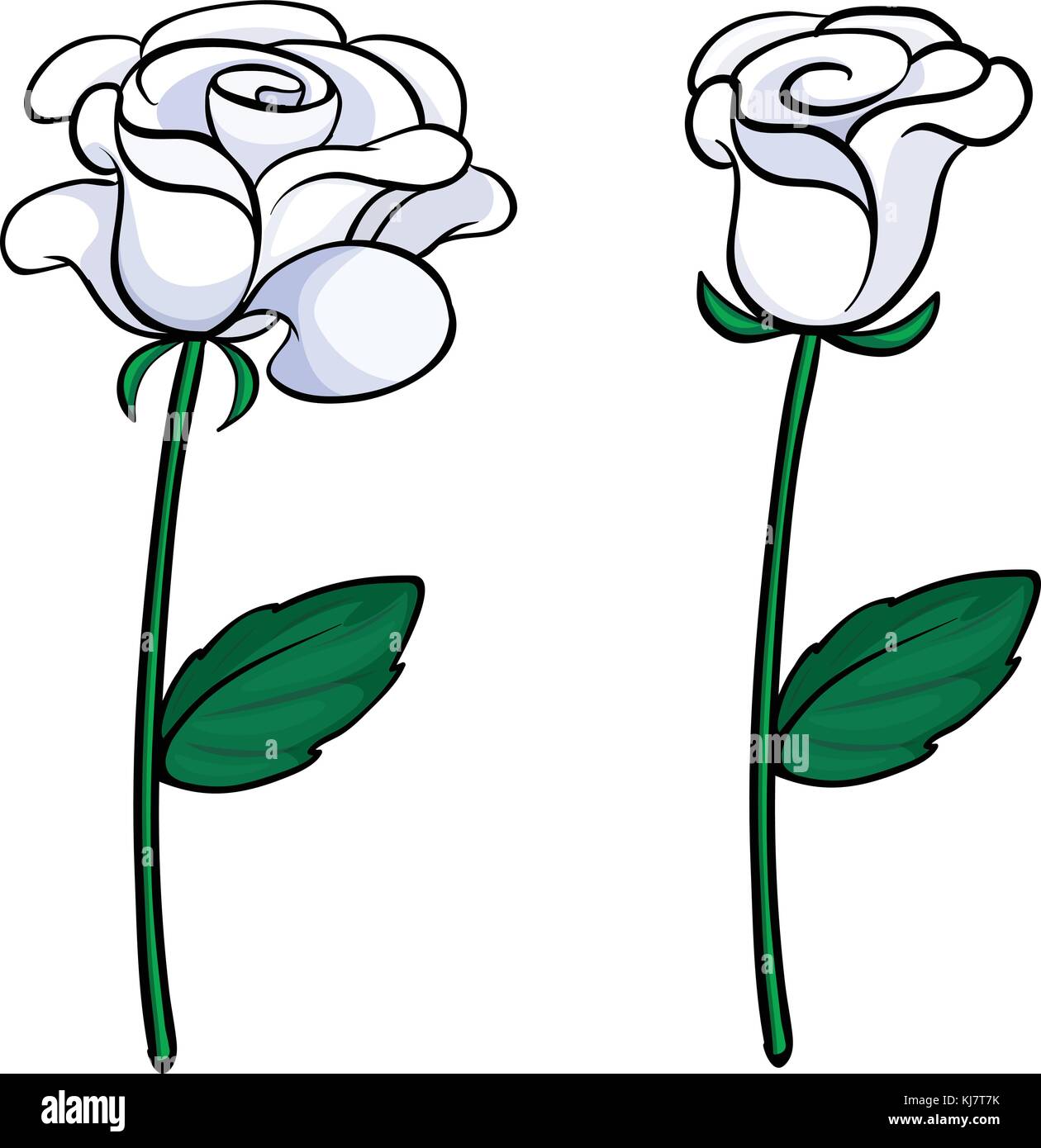 Abbildung: Die zwei weißen Rosen auf weißem Hintergrund Stock Vektor