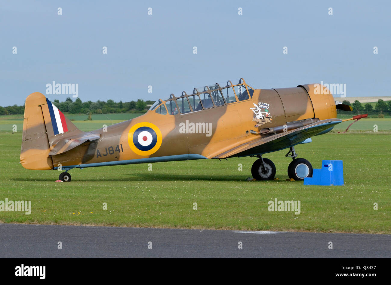 North American T-6 Texan, Wacky Wabbit, RAF Farben, Duxford, England. Stockfoto